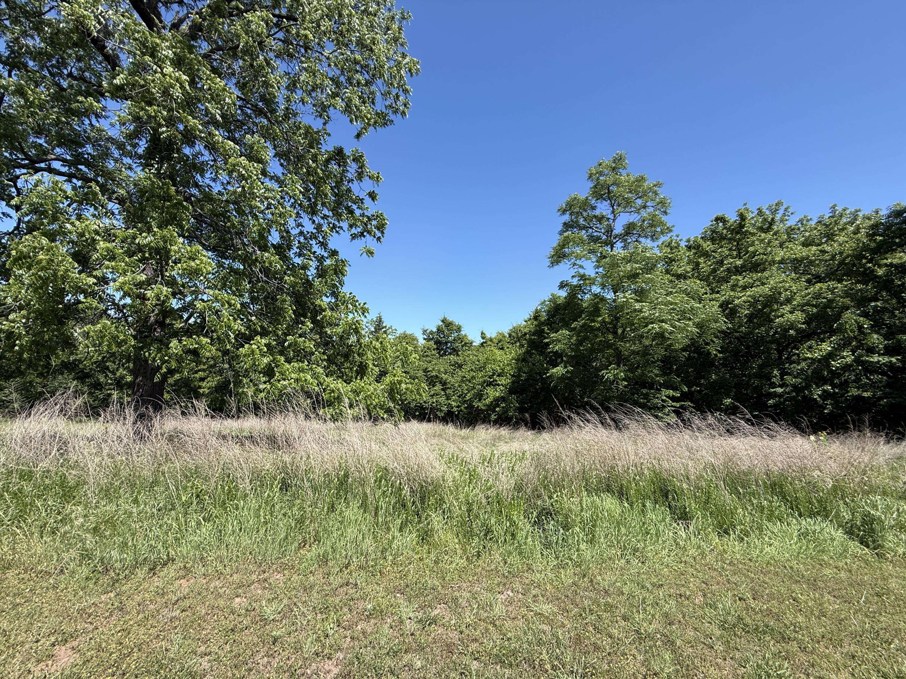 000 S 1507 RD, Stockton, MO 65785