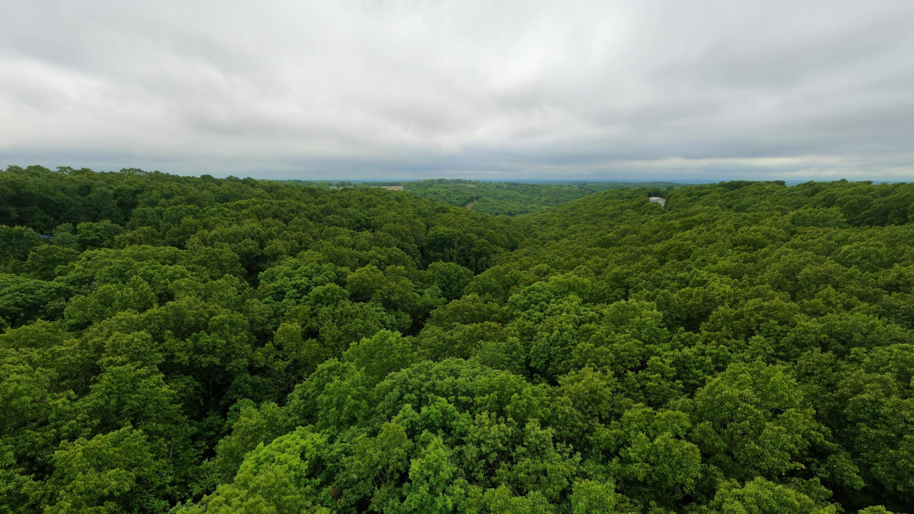 Tbd Devils Pool Rd, Ridgedale, MO 65739