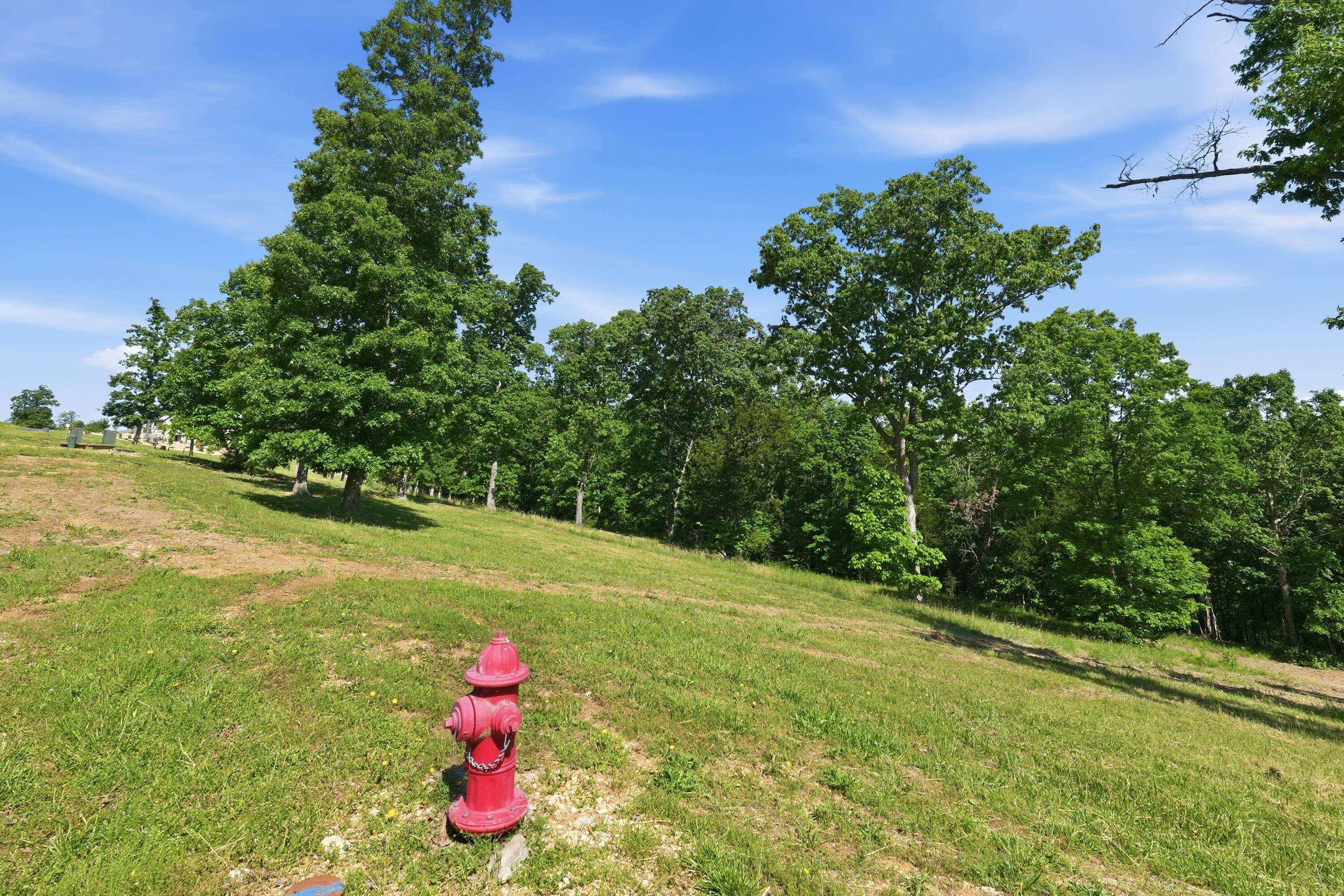 115a,117 Valley DR, Saddlebrooke, MO 65630
