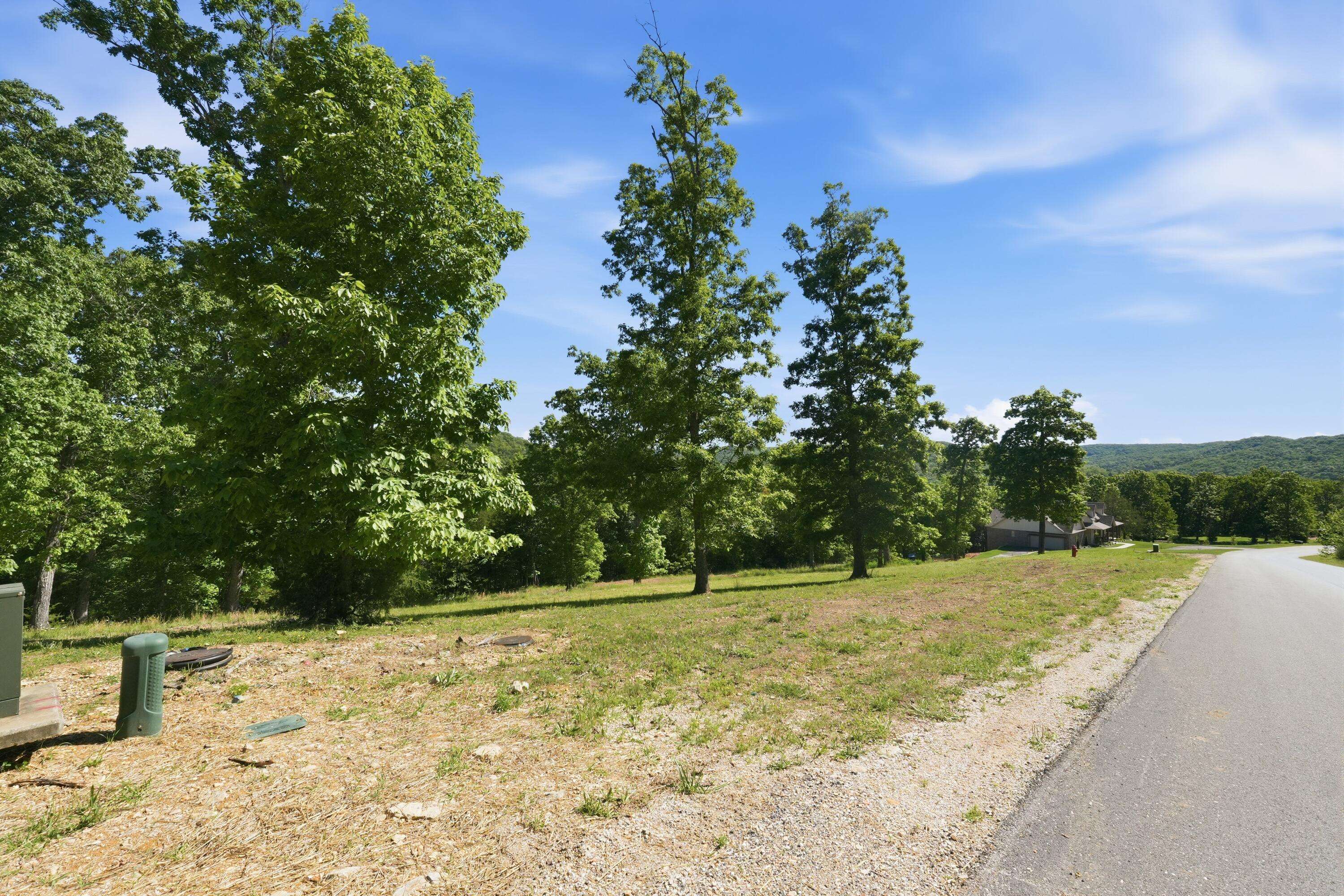115a,117 Valley DR, Saddlebrooke, MO 65630