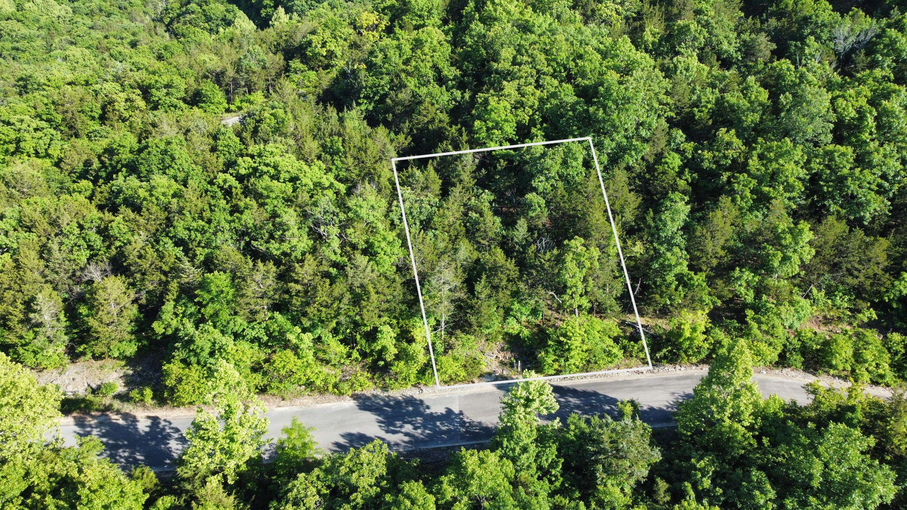 000 Syler Circle Lot 233 CIR #233, Hollister, MO 65672
