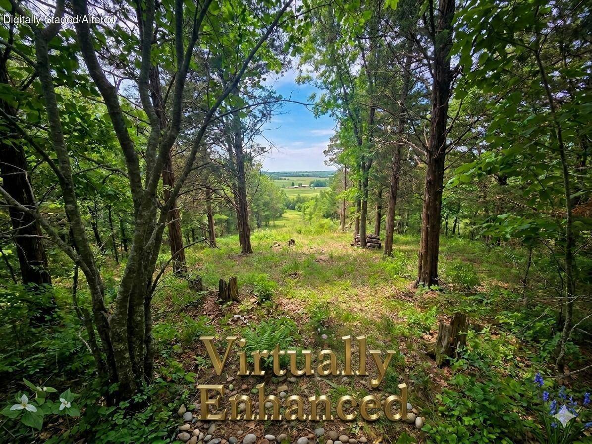 178 Black Forest LN, Reeds Spring, MO 65737