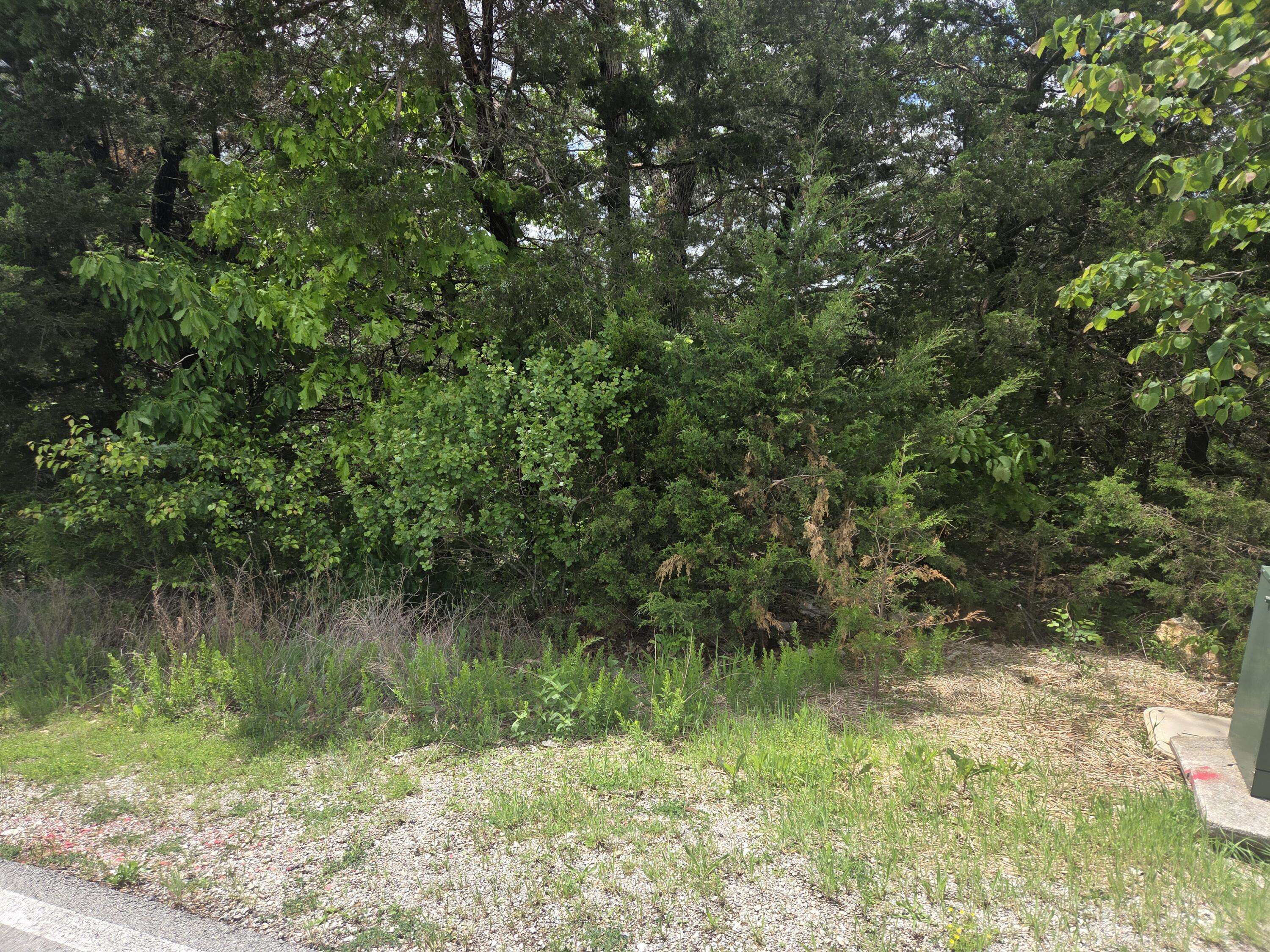 178 Black Forest LN, Reeds Spring, MO 65737