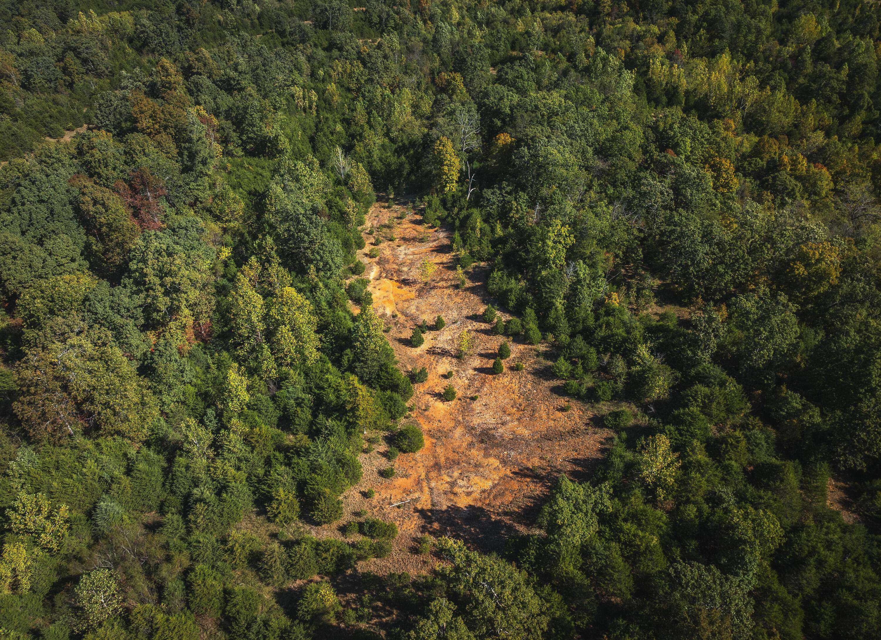 Lot 4 Clementine Outer RD, Newburg, MO 65550