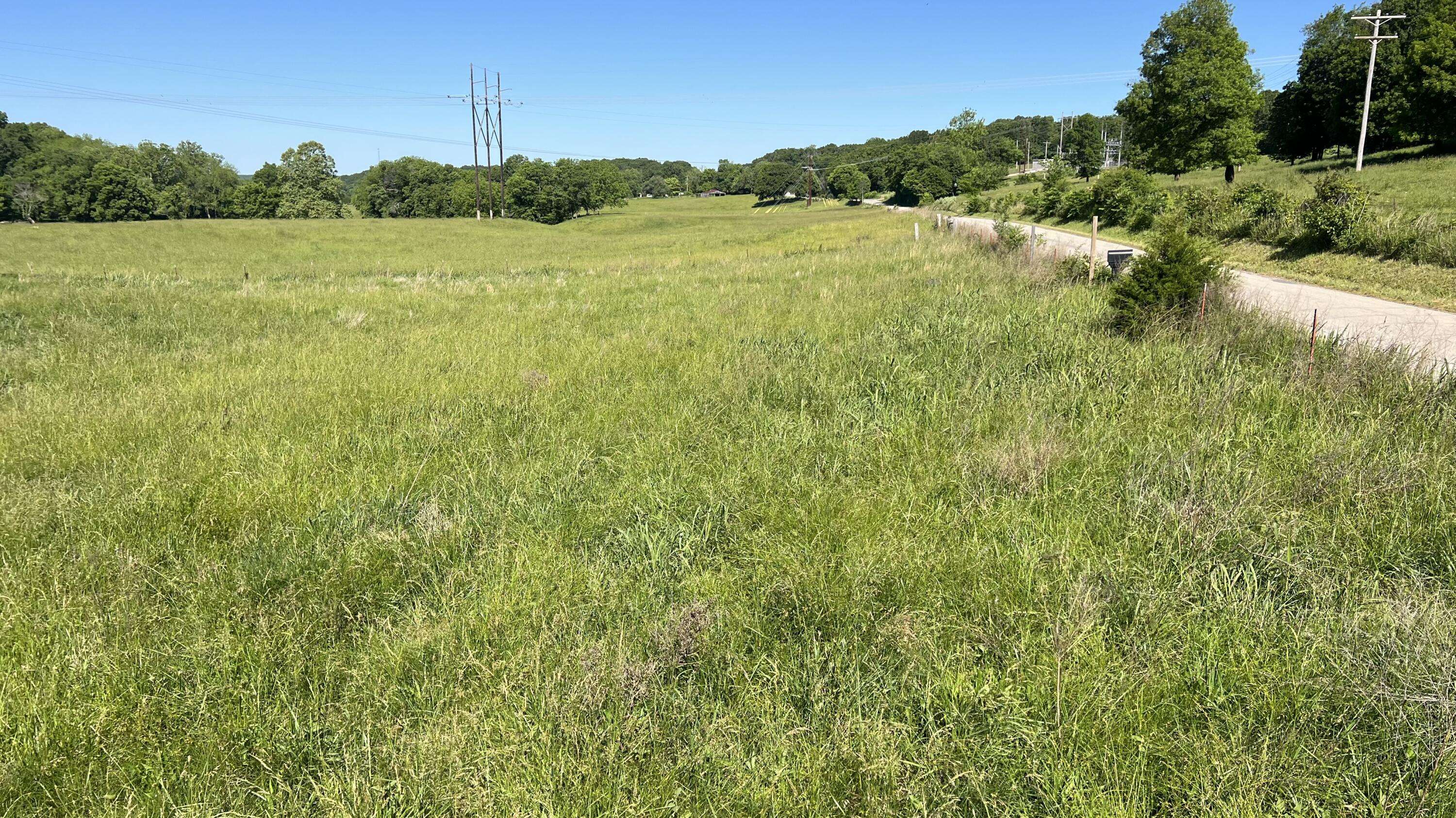 354 Thief Hollow RD, Anderson, MO 64831
