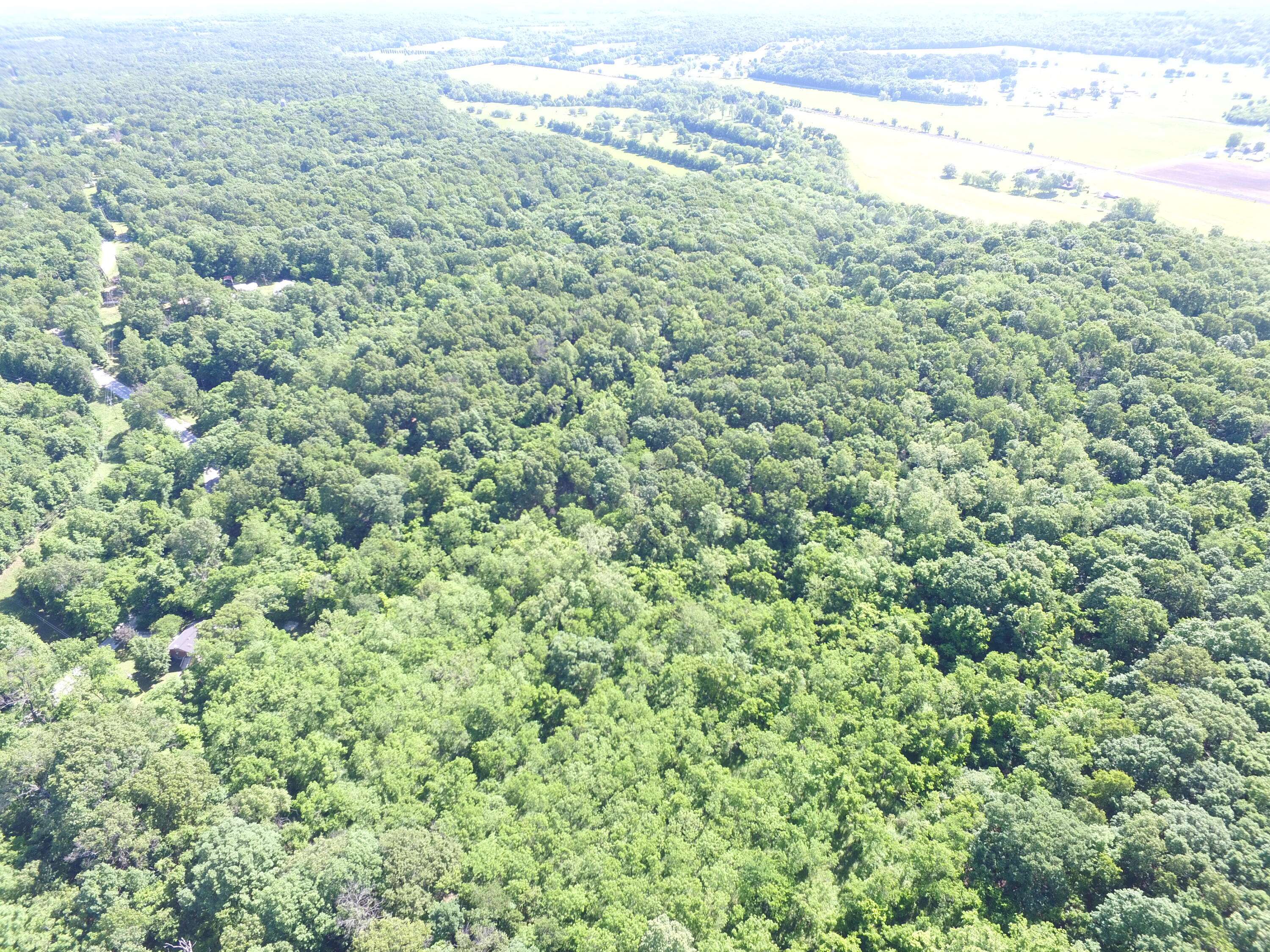 10961 Moose DR, Neosho, MO 64850