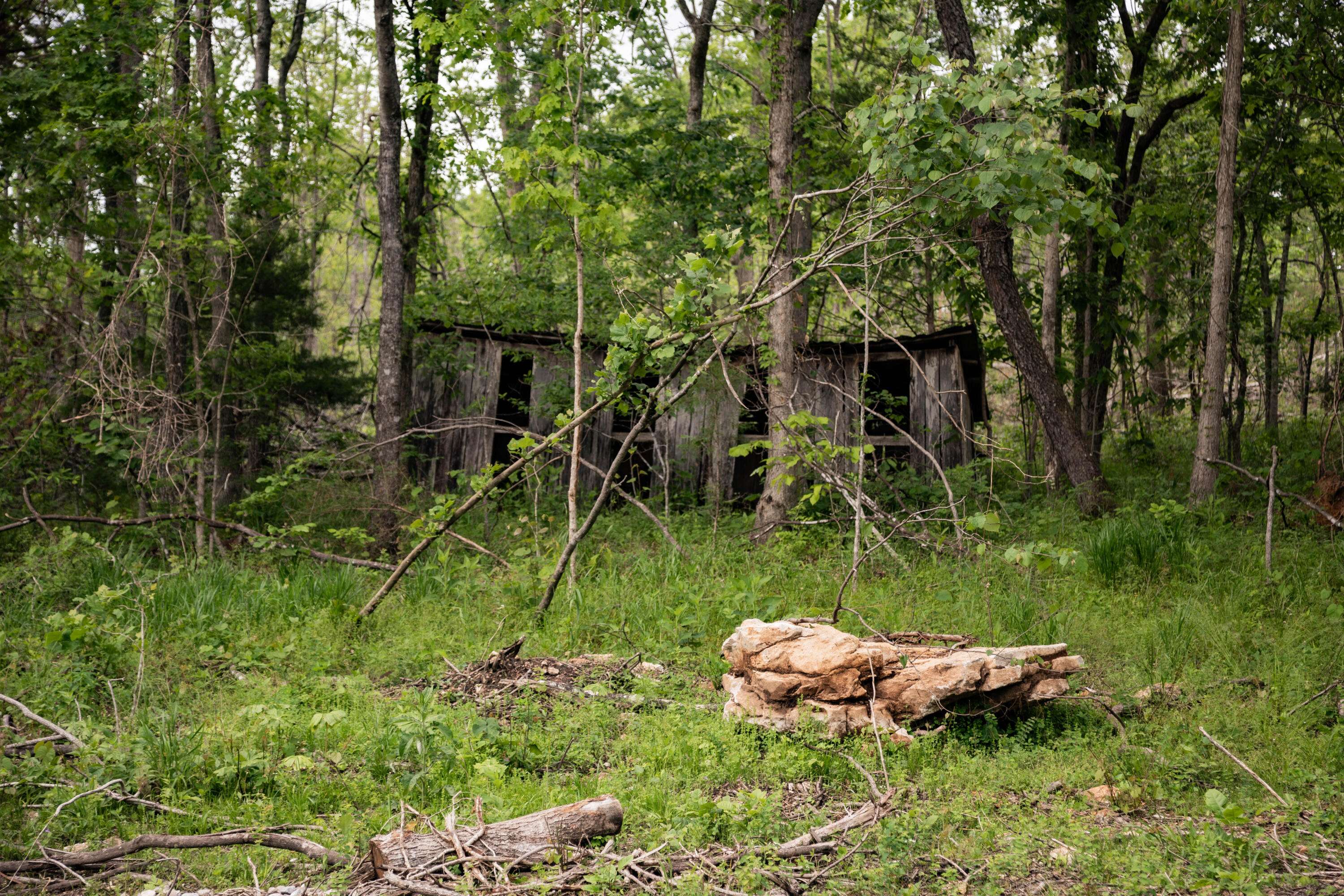 000 State Highway Y, Myrtle, MO 65778