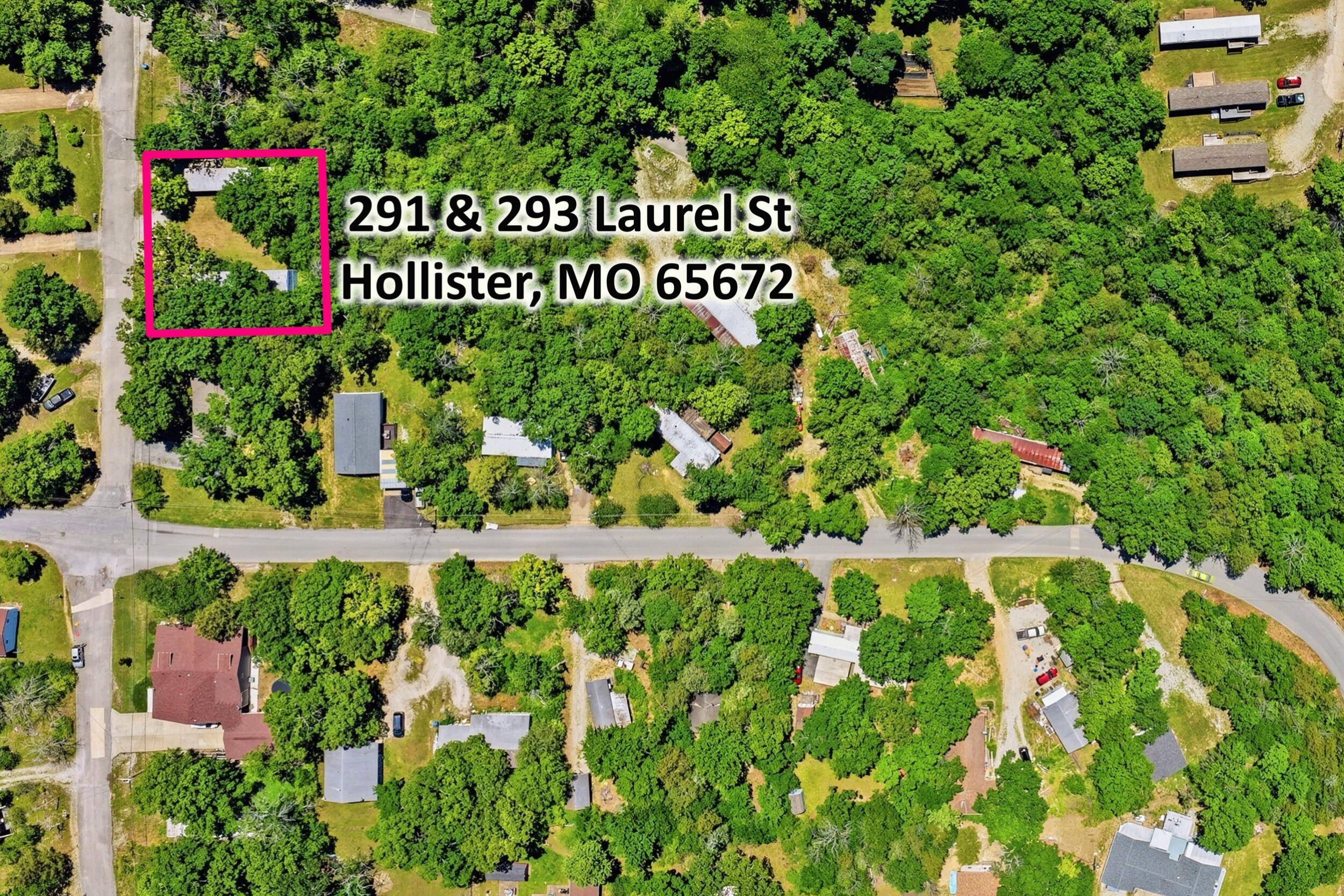 291 293 Laurel ST, Hollister, MO 65672