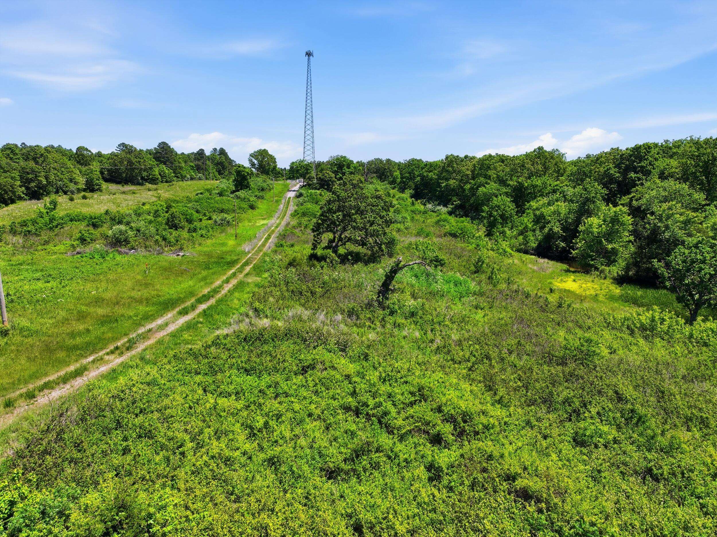 2810 County Road 2390, Mountain View, MO 65548