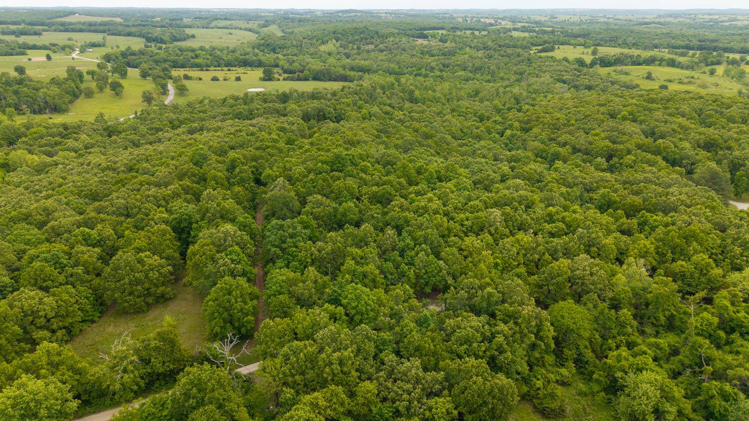 14782 County Road 7990, Bakersfield, MO 65609