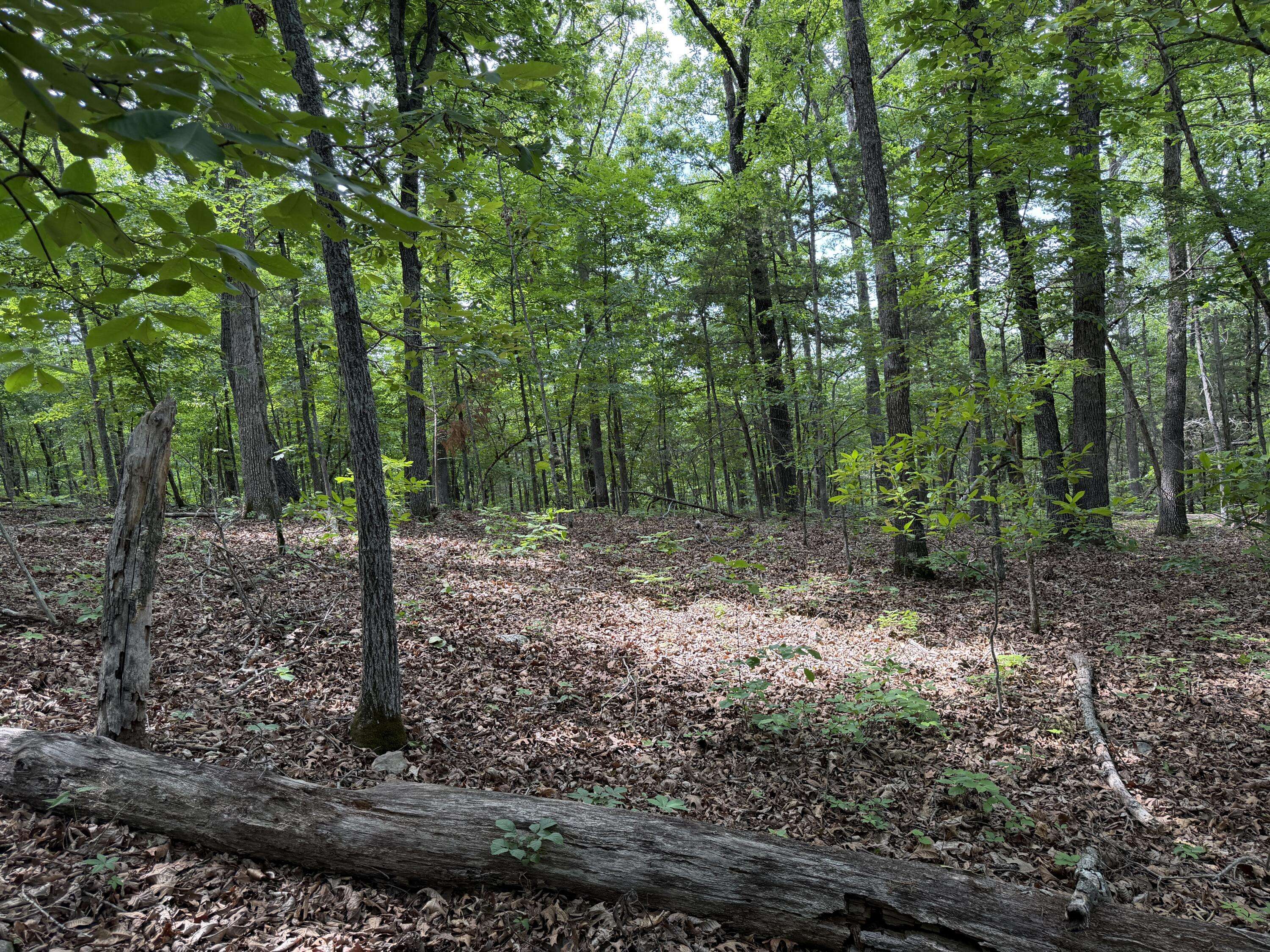 000 Moore Bend RD, Cedarcreek, MO 65627