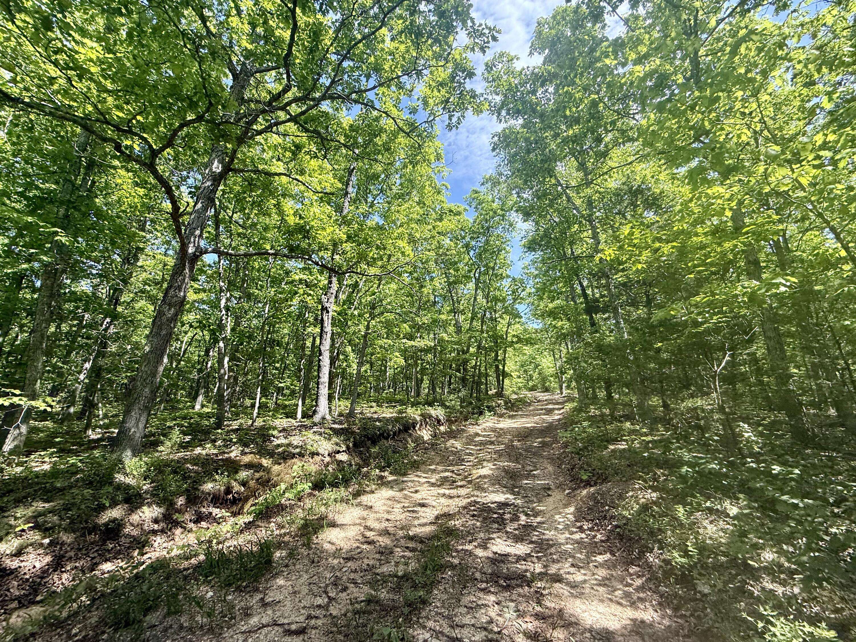000 Bailey RD, Licking, MO 65542