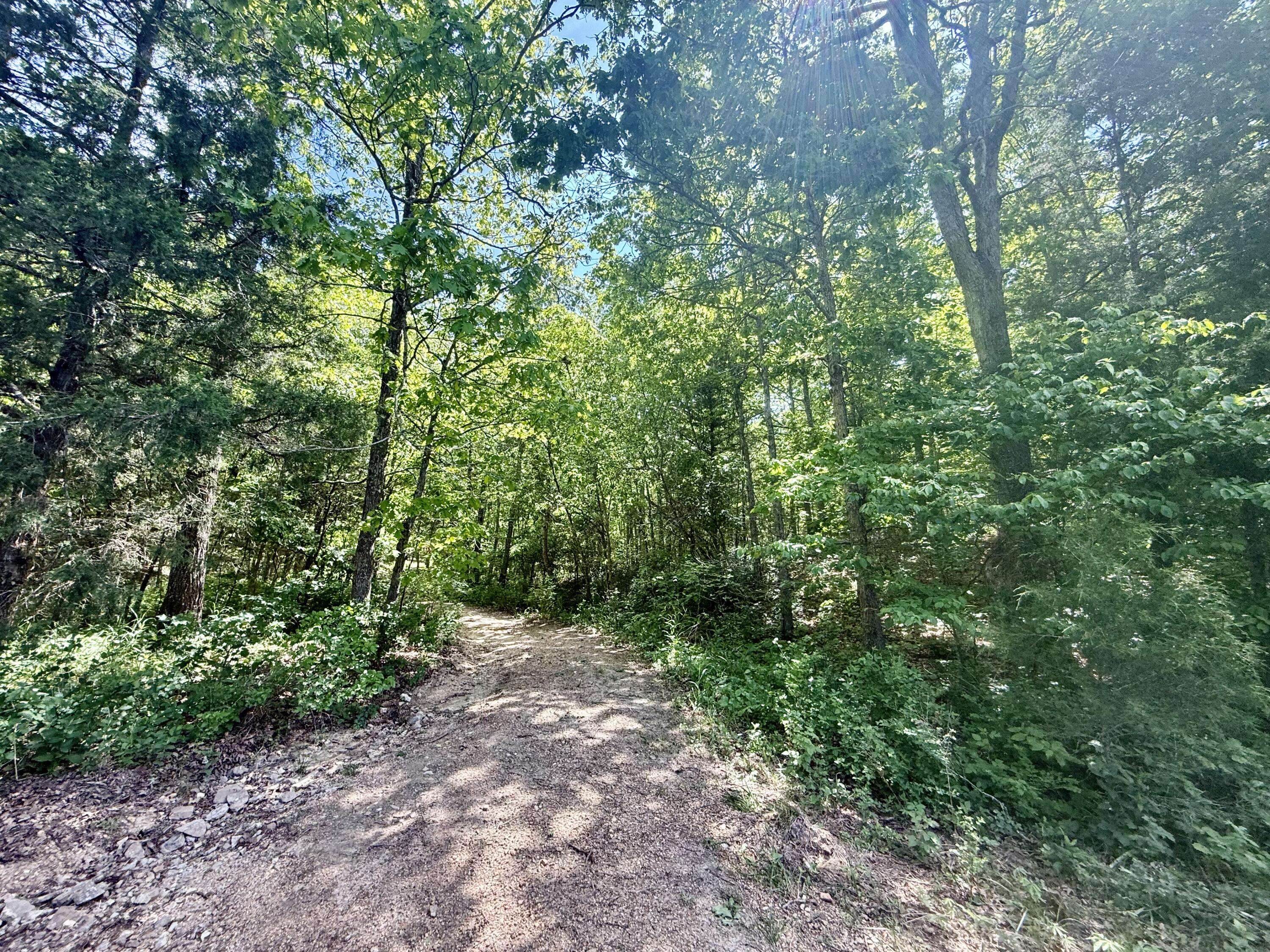 000 Bailey RD, Licking, MO 65542