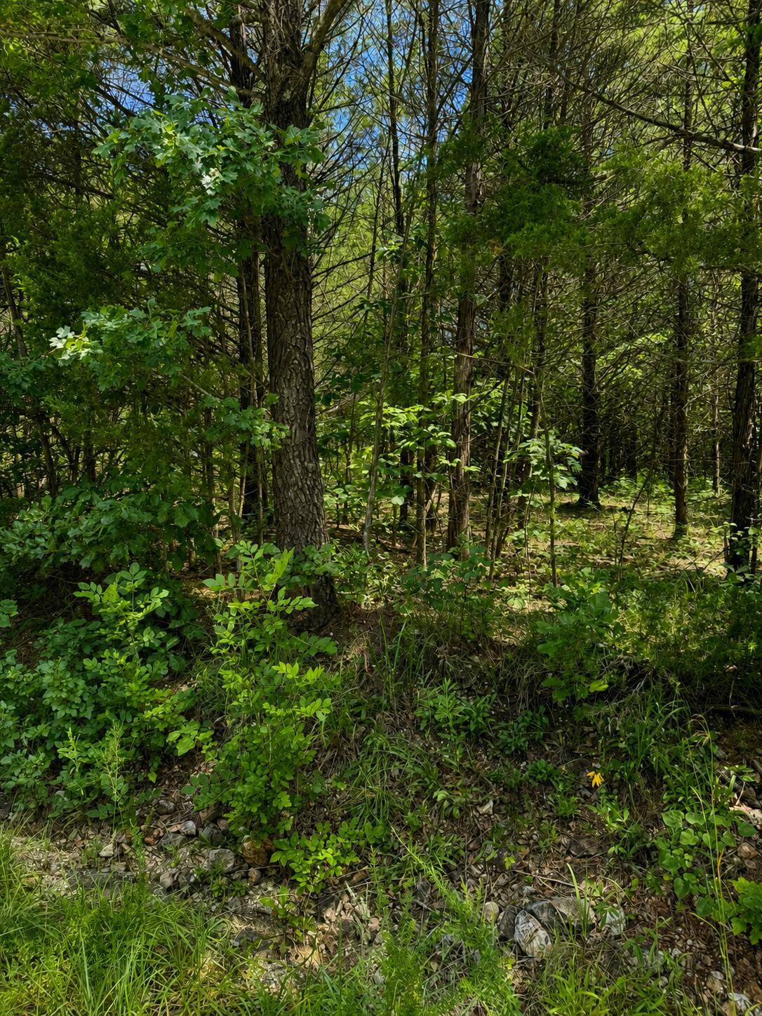 000 Falling Rock RD, Elkland, MO 65644