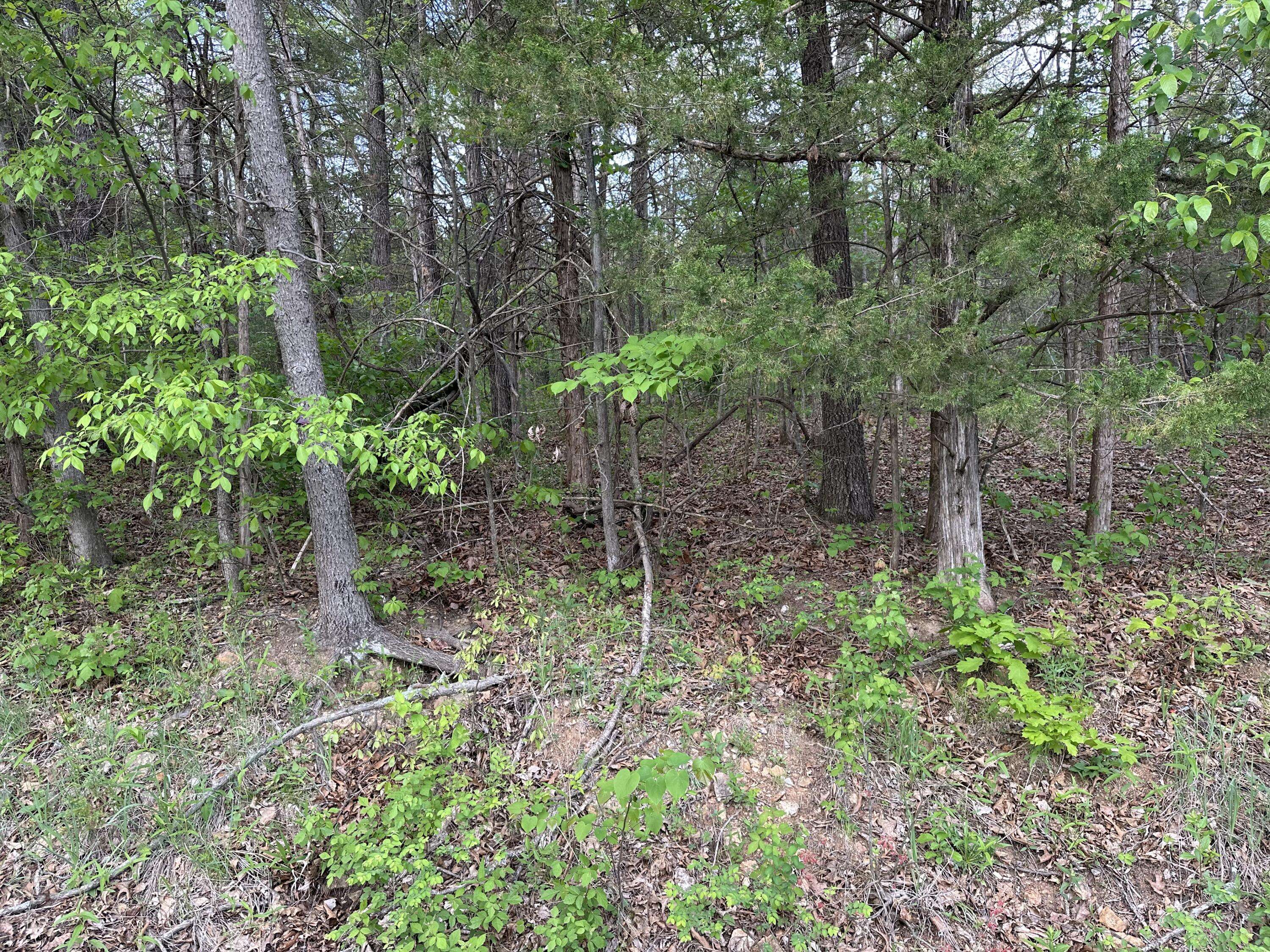 000 Falling Rock RD, Elkland, MO 65644