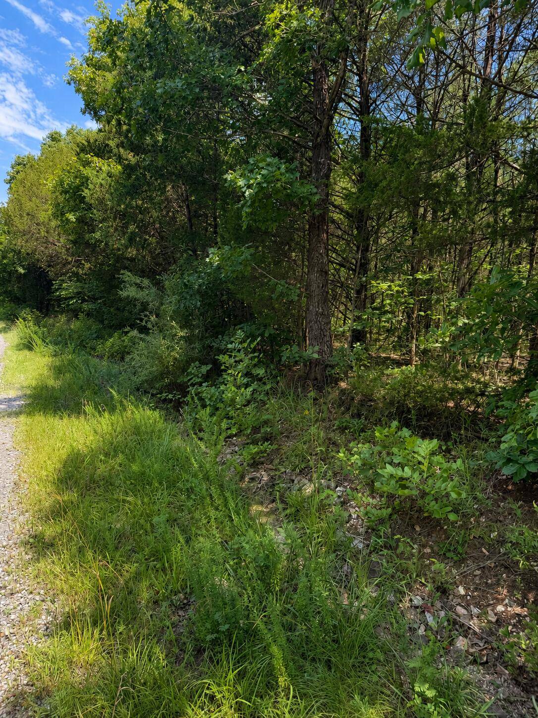 000 Falling Rock RD, Elkland, MO 65644