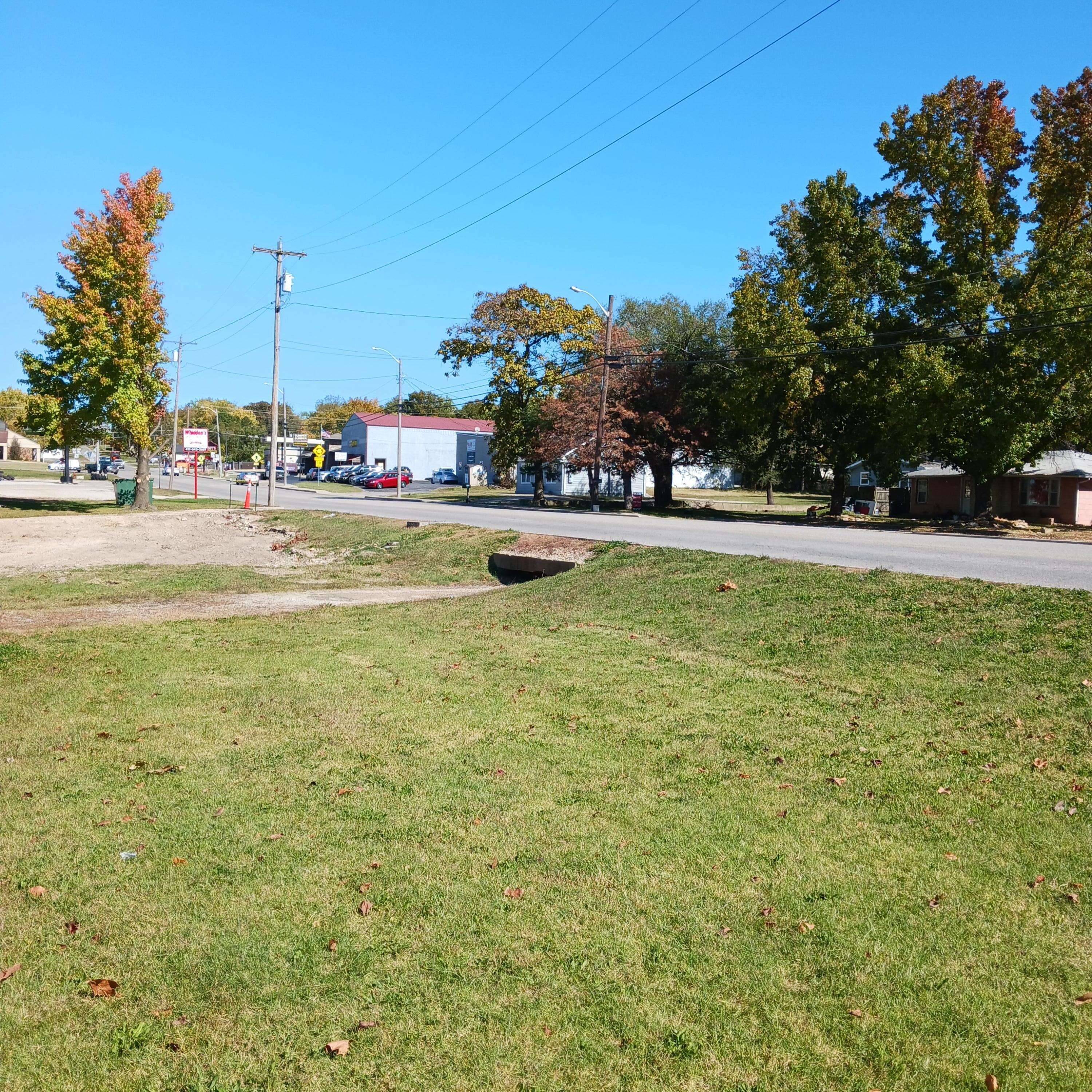 1003 N Jefferson ST #Parcels 1 & 2, Ava, MO 65608