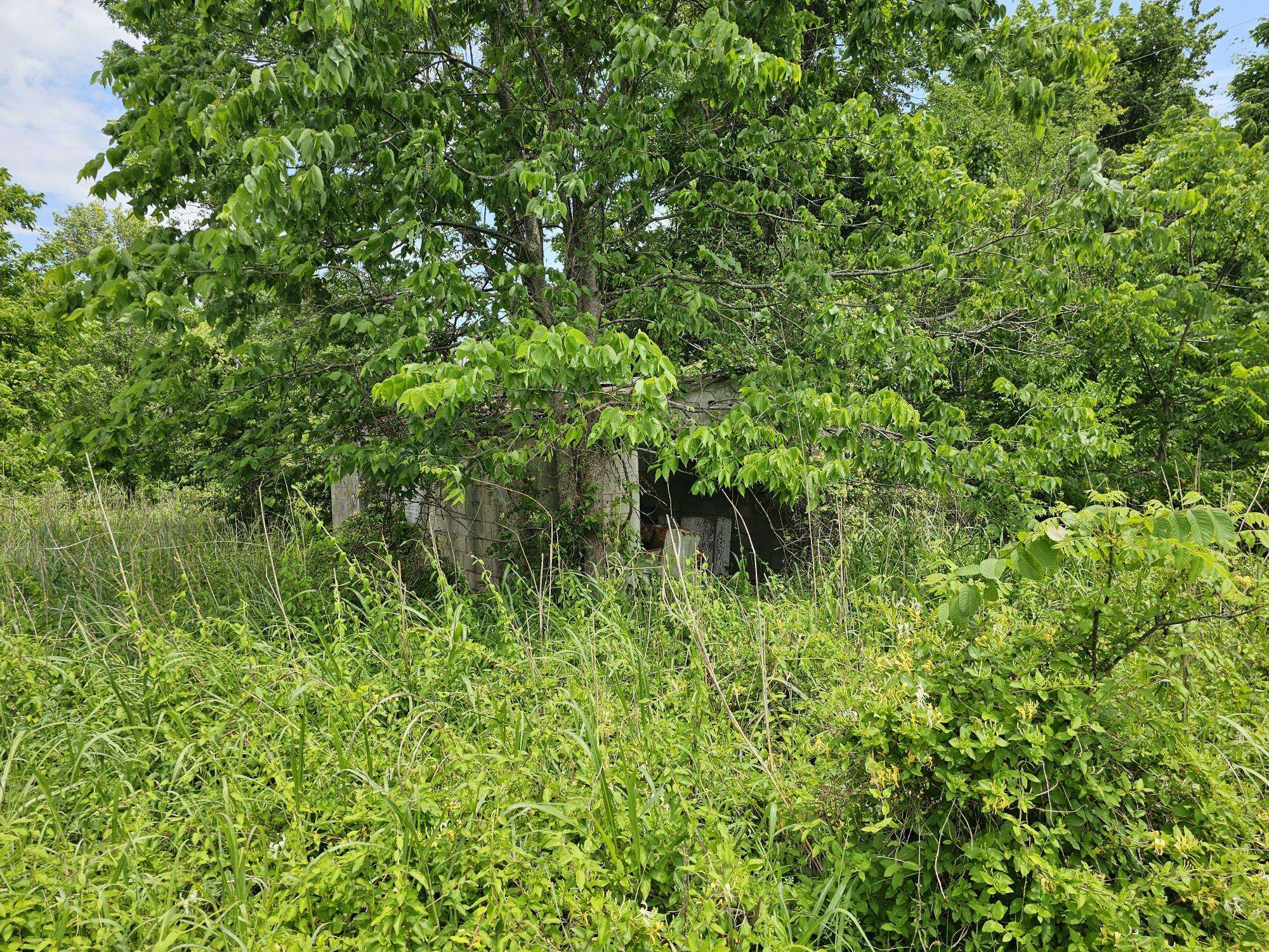 000 State Highway K, Everton, MO 65646