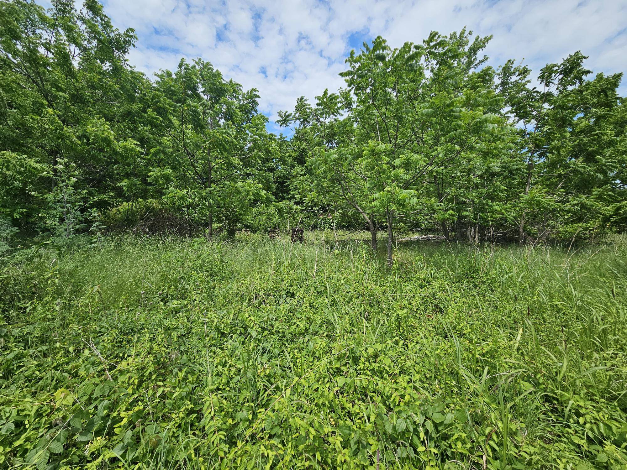 000 State Highway K, Everton, MO 65646
