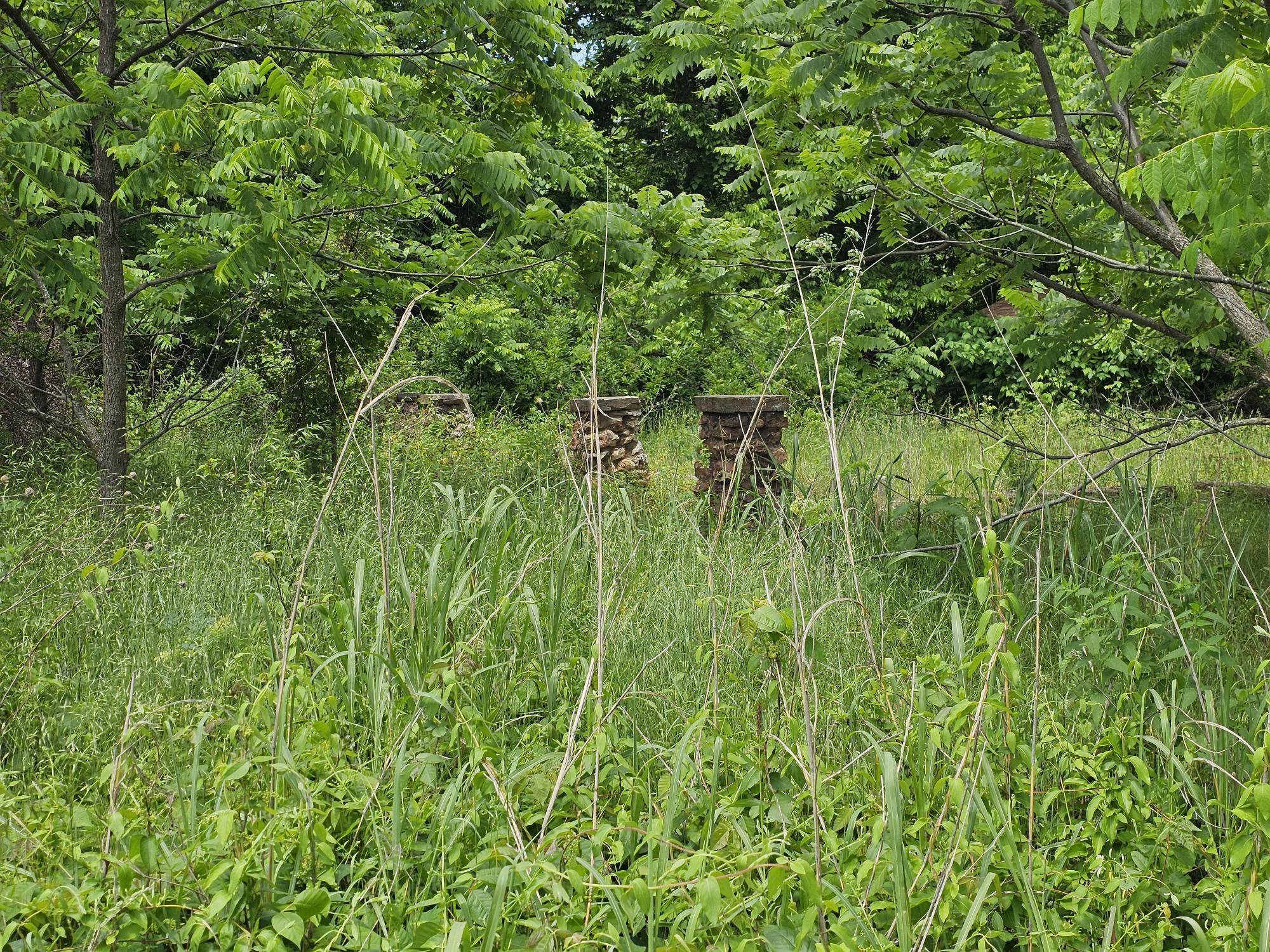 000 State Highway K, Everton, MO 65646