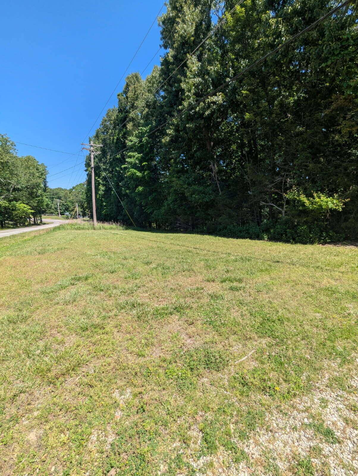 000 Fine Drive, Galena, MO 65656