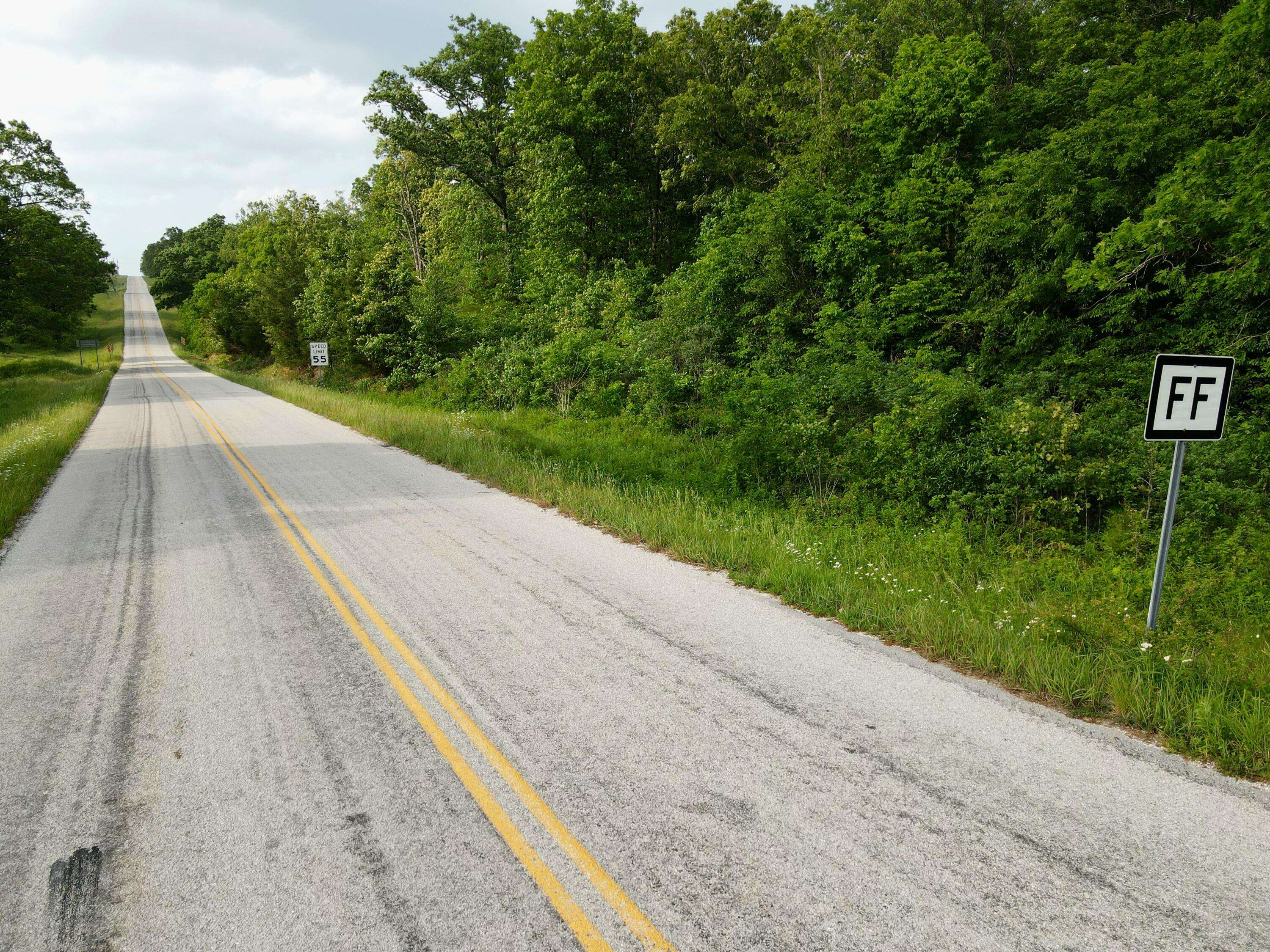 000 State Road Ff, Long Lane, MO 65590