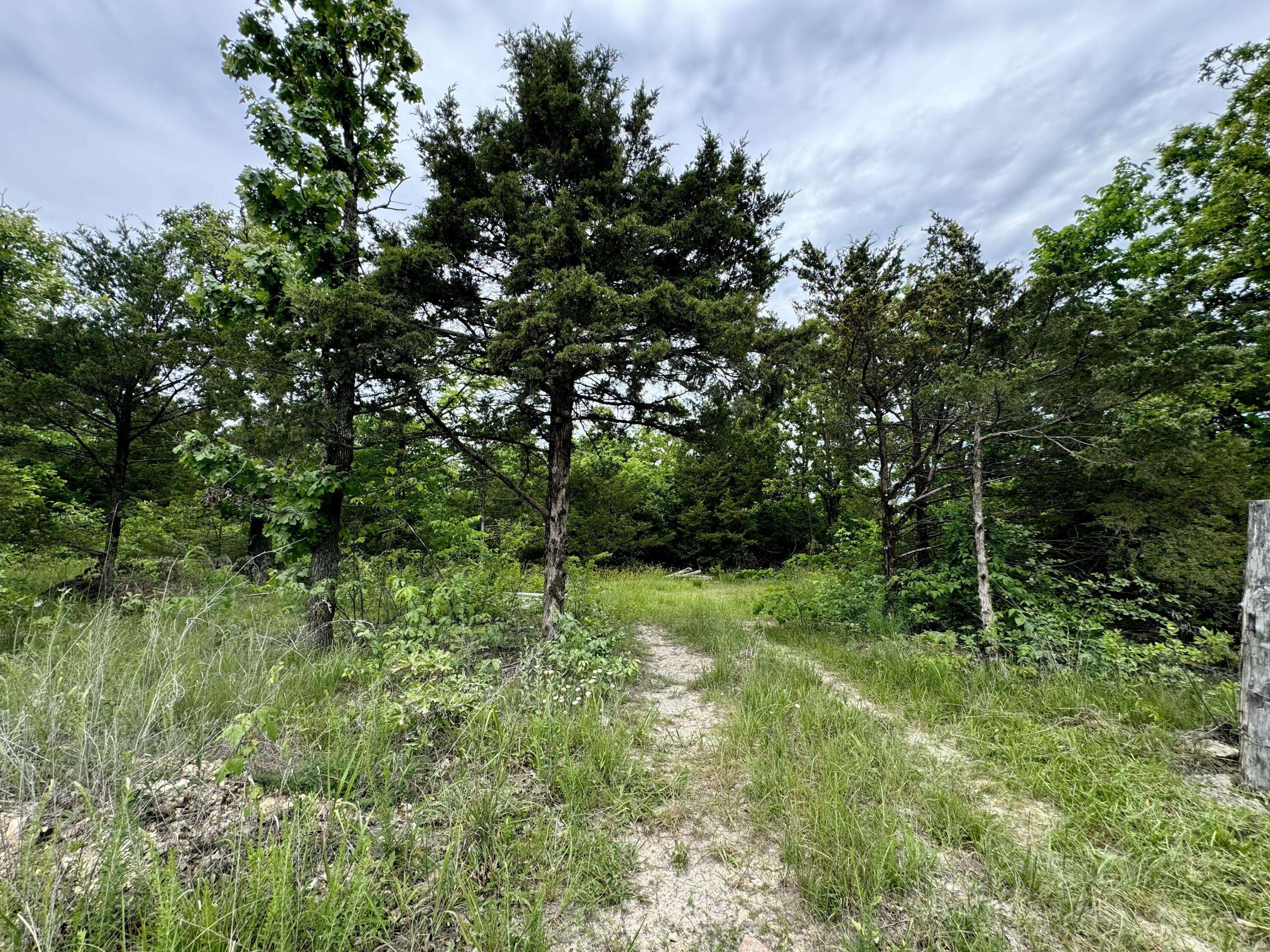 000 Cottengim RD, Macomb, MO 65702