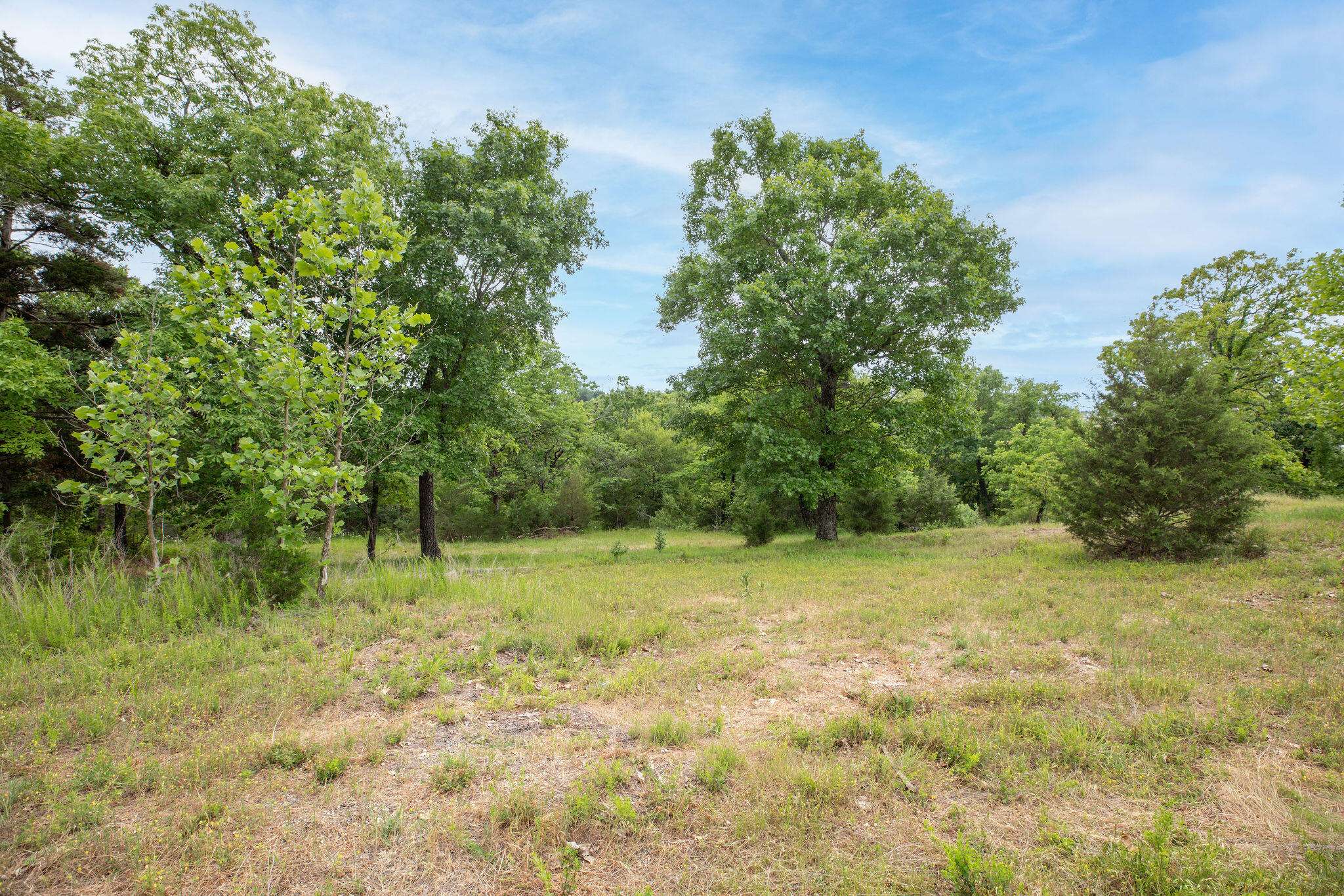 Tbd Bee Creek RD, Branson, MO 65616