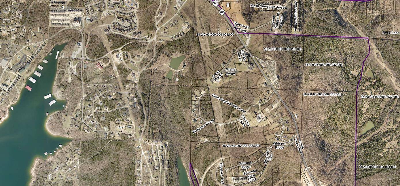 Lot 8 Grand Pointe, Branson, MO 65616