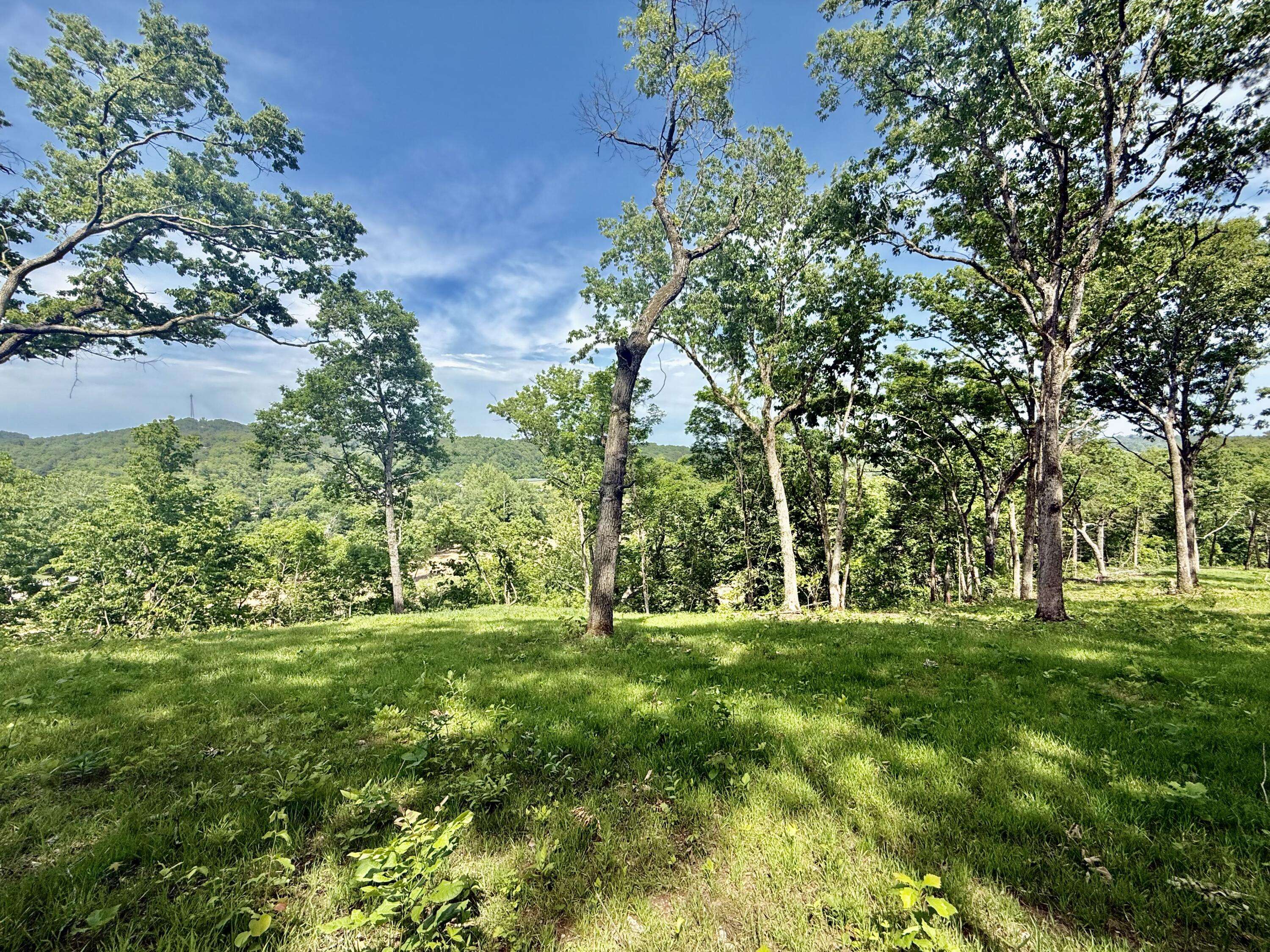Tract 6 Circle B RD, Eminence, MO 65466