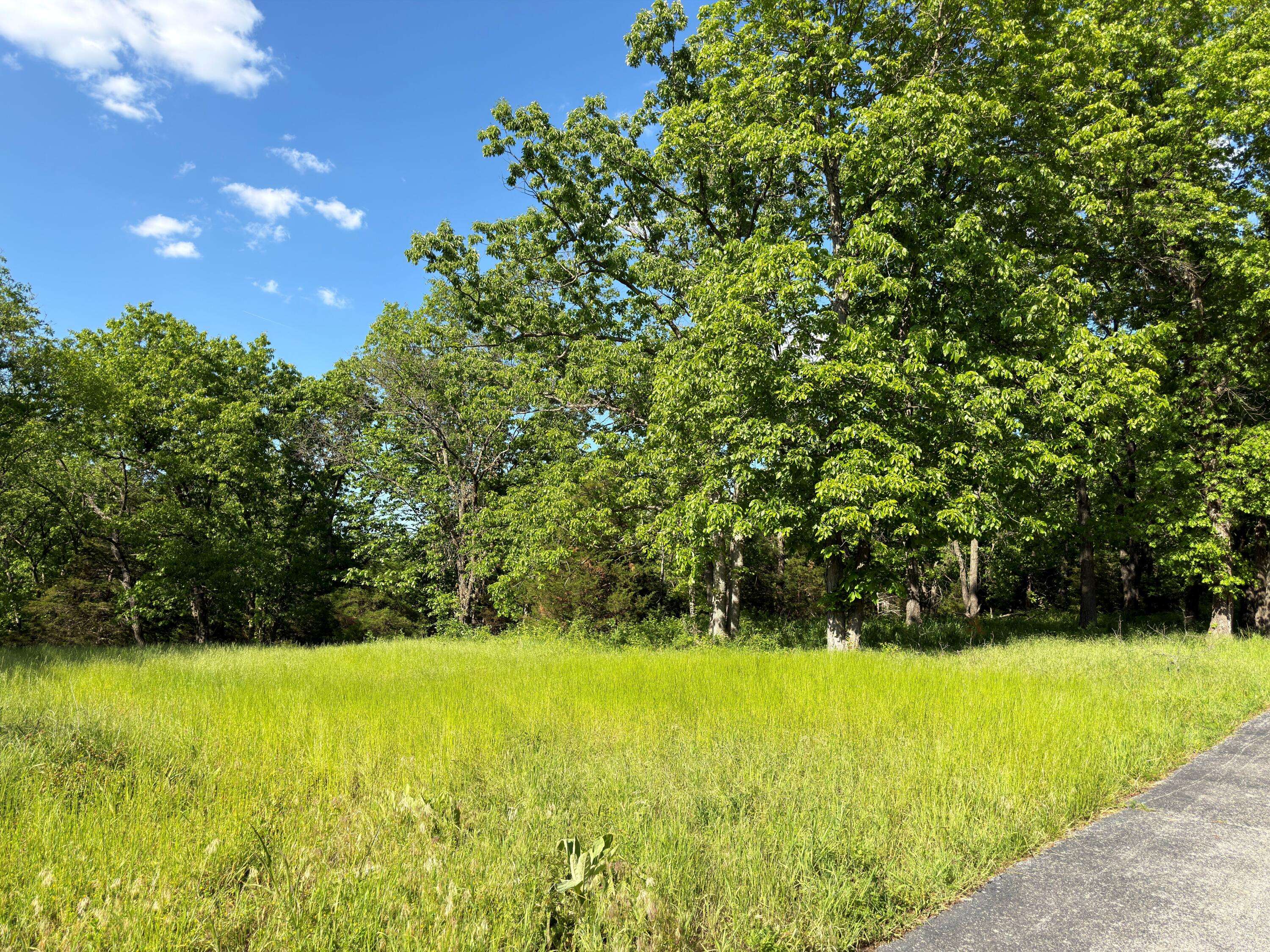 000 Fi Anna LN, Ozark, MO 65721