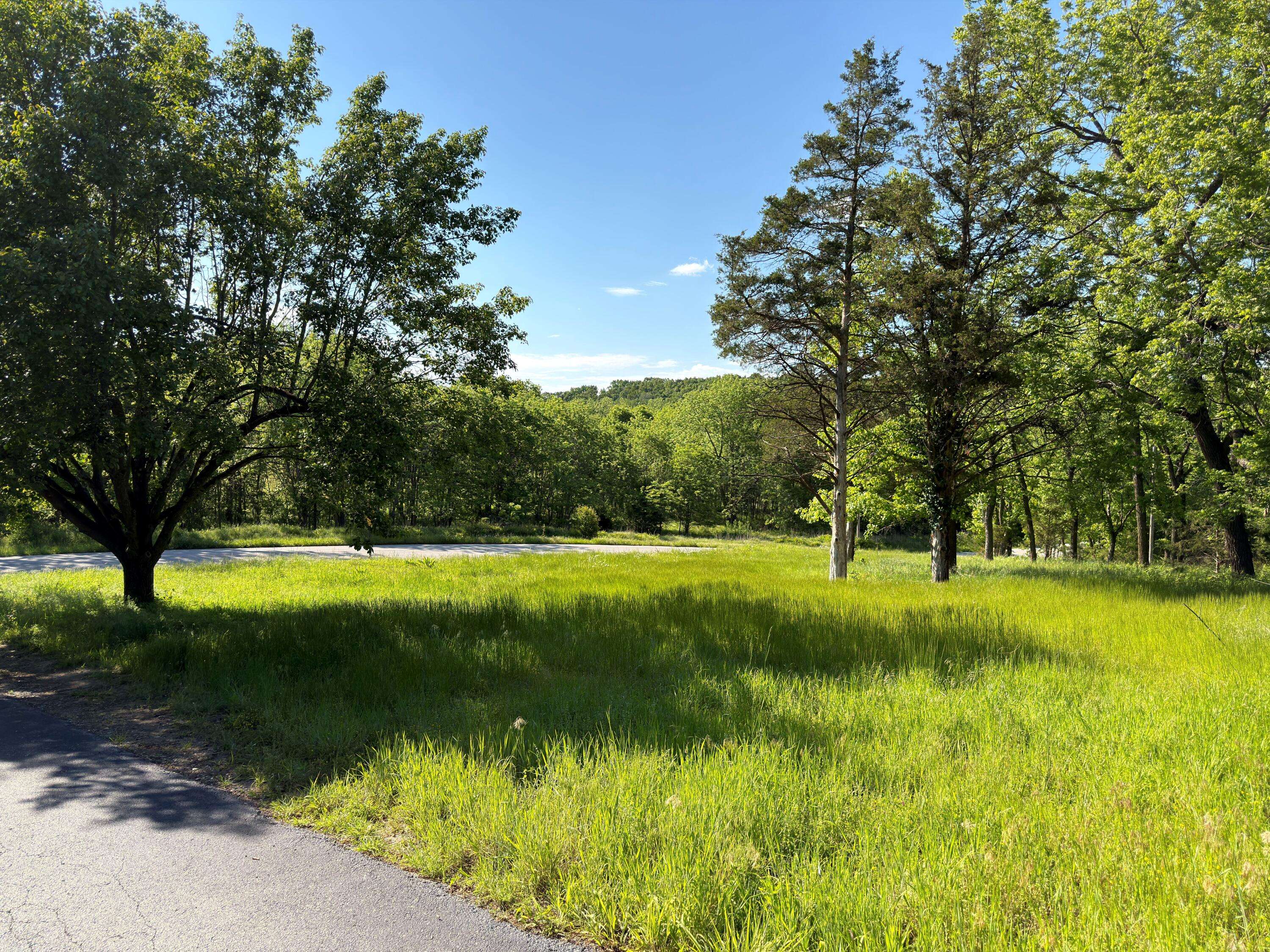 000 Fi Anna LN, Ozark, MO 65721