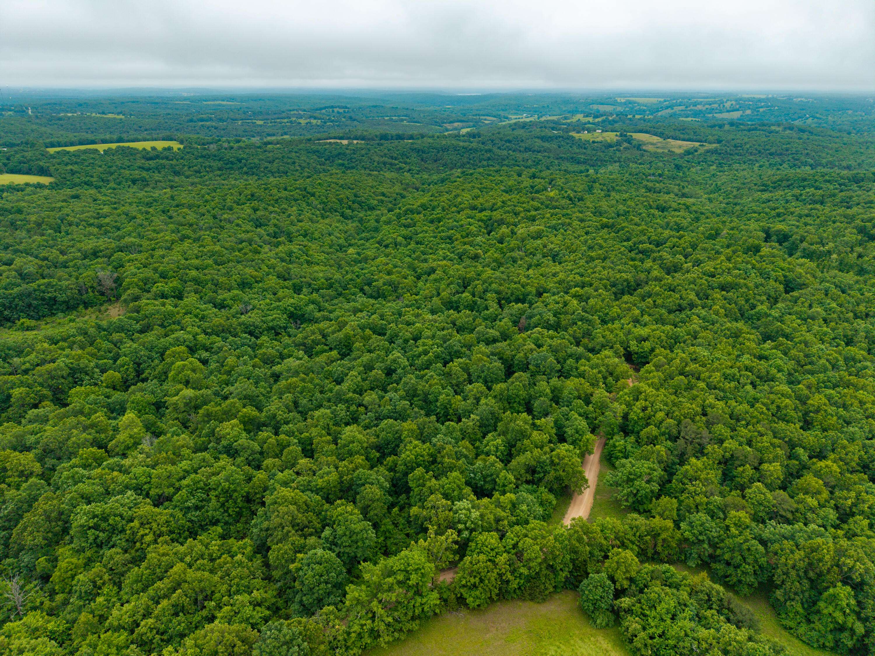 000 Co Rd 521 #Tract 5, Hardenville, MO 65666
