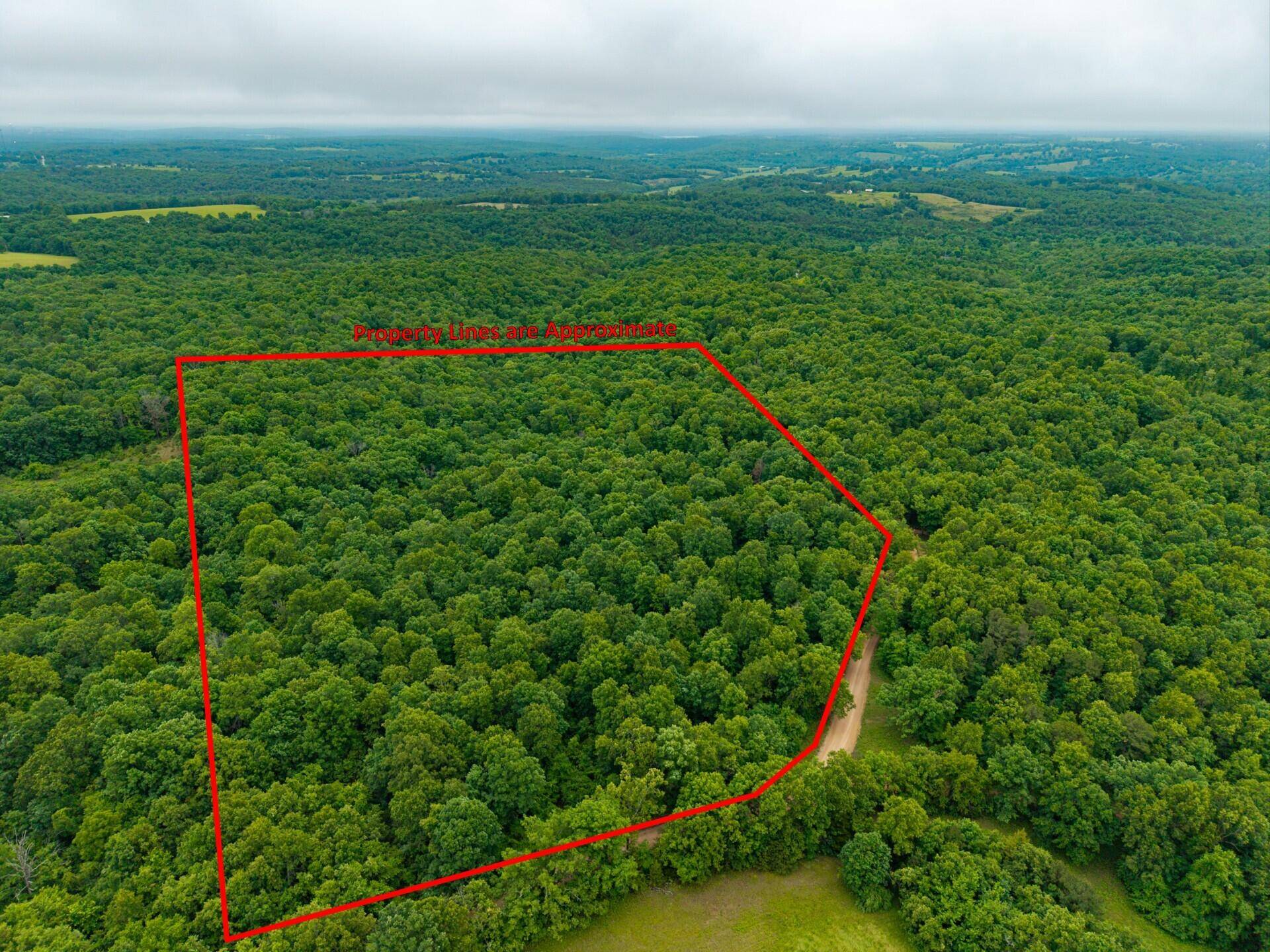 000 Co Rd 521 #Tract 5, Hardenville, MO 65666