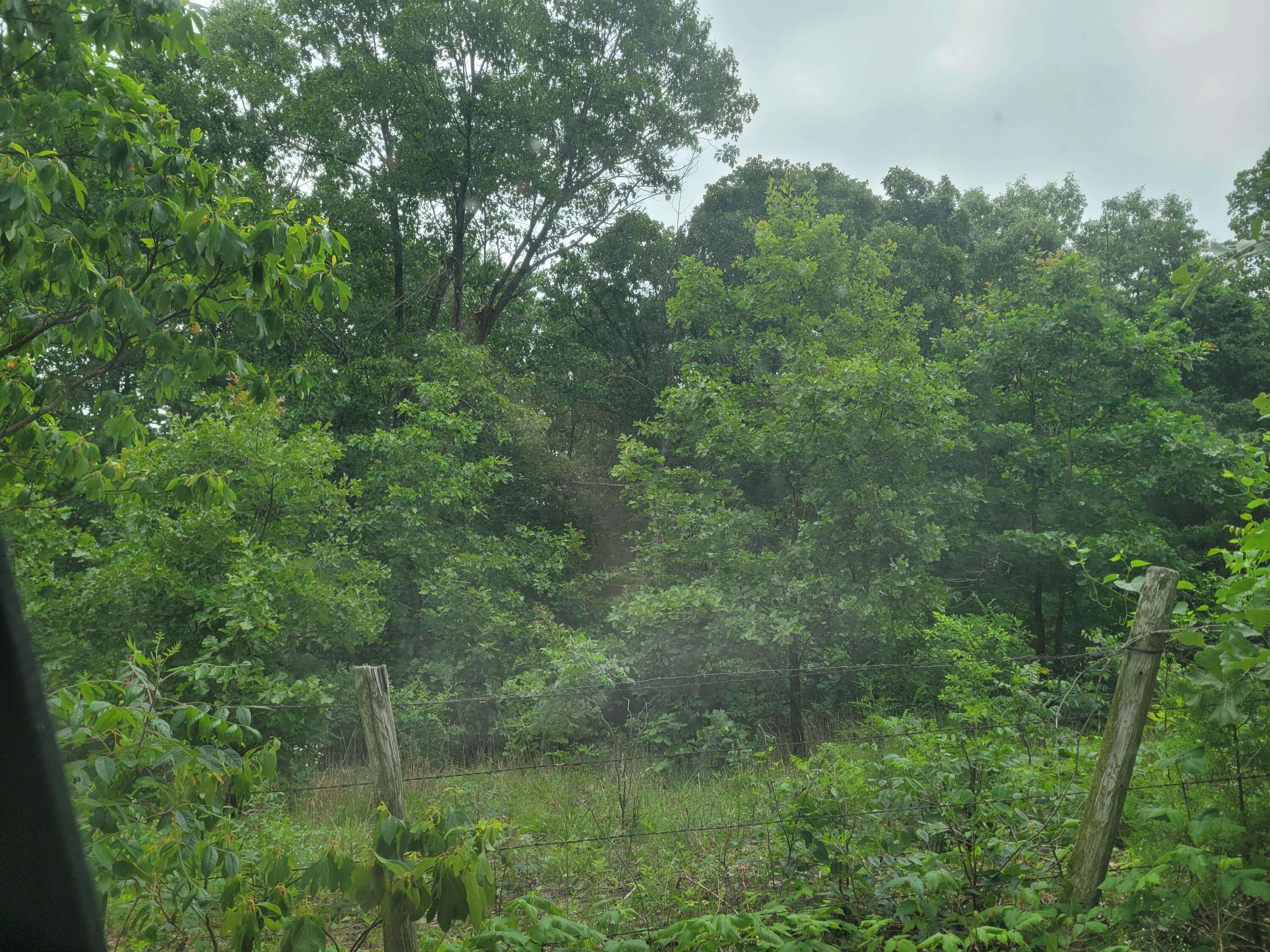Tbd N-325, Ava, MO 65608