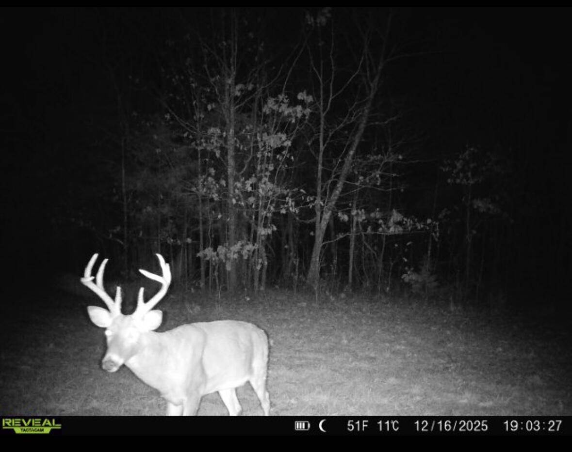 001 State Hwy O, Highlandville, MO 65669