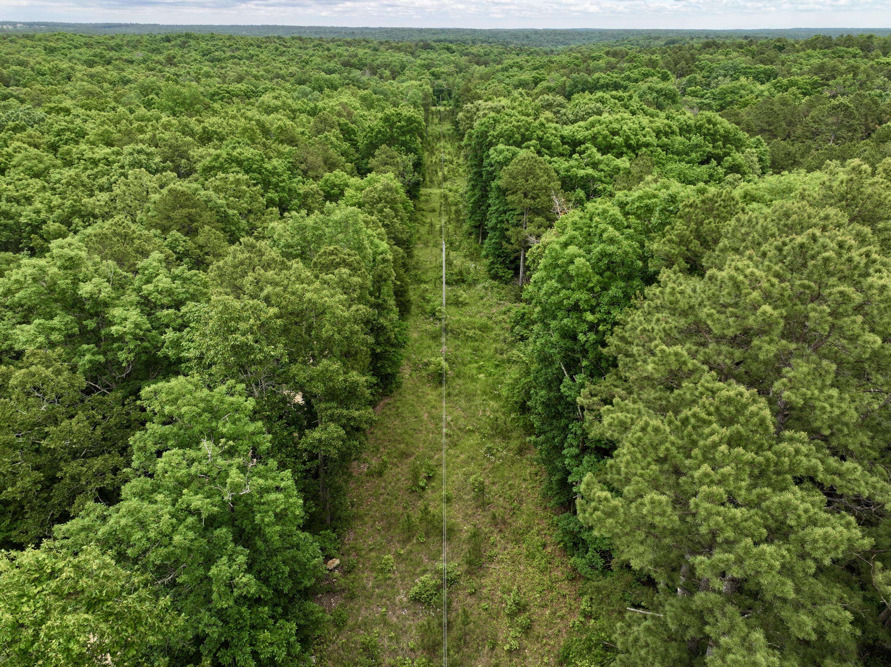 000 Carter 242, Grandin, MO 63943