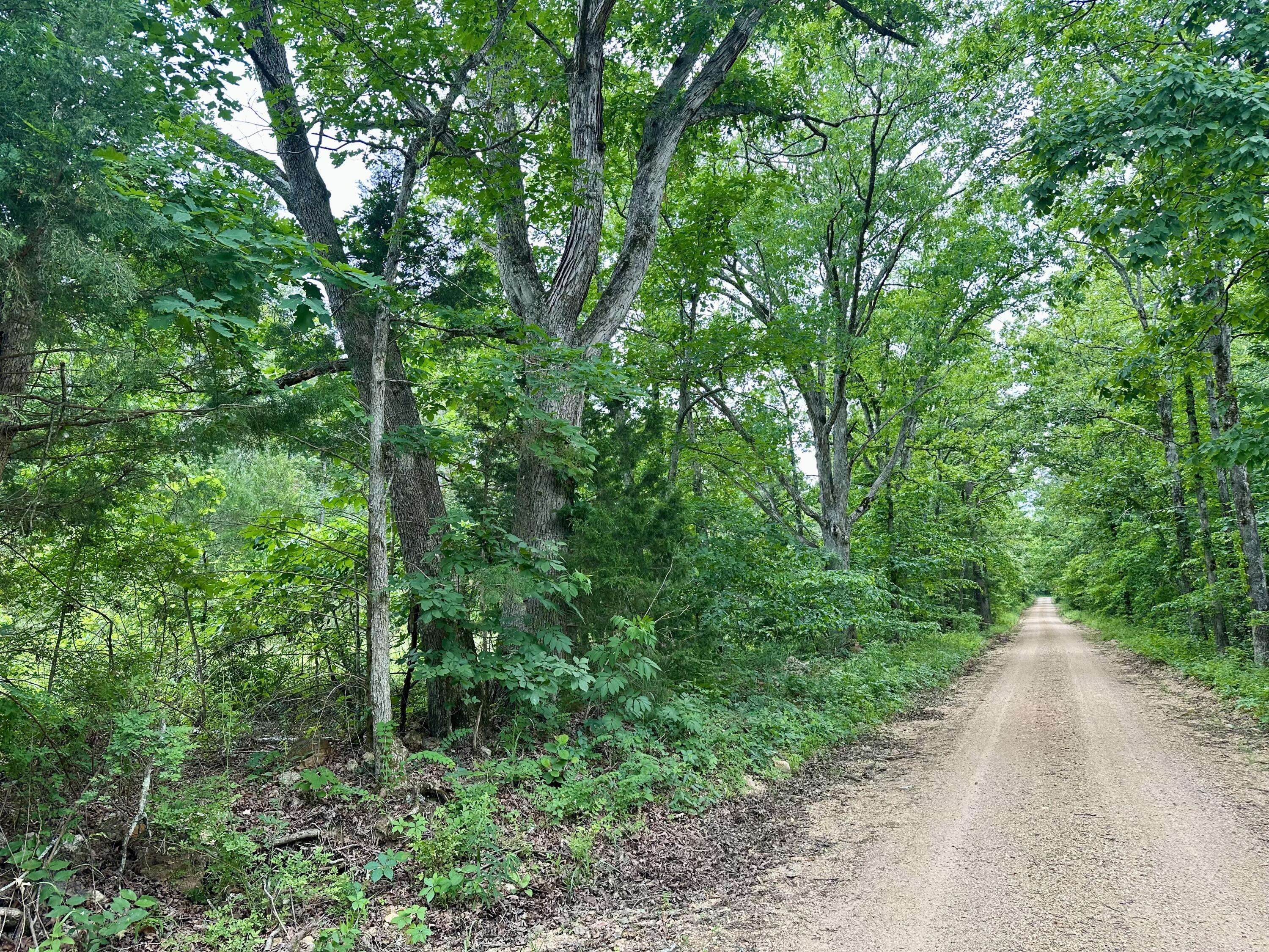 000 Carter 242, Grandin, MO 63943