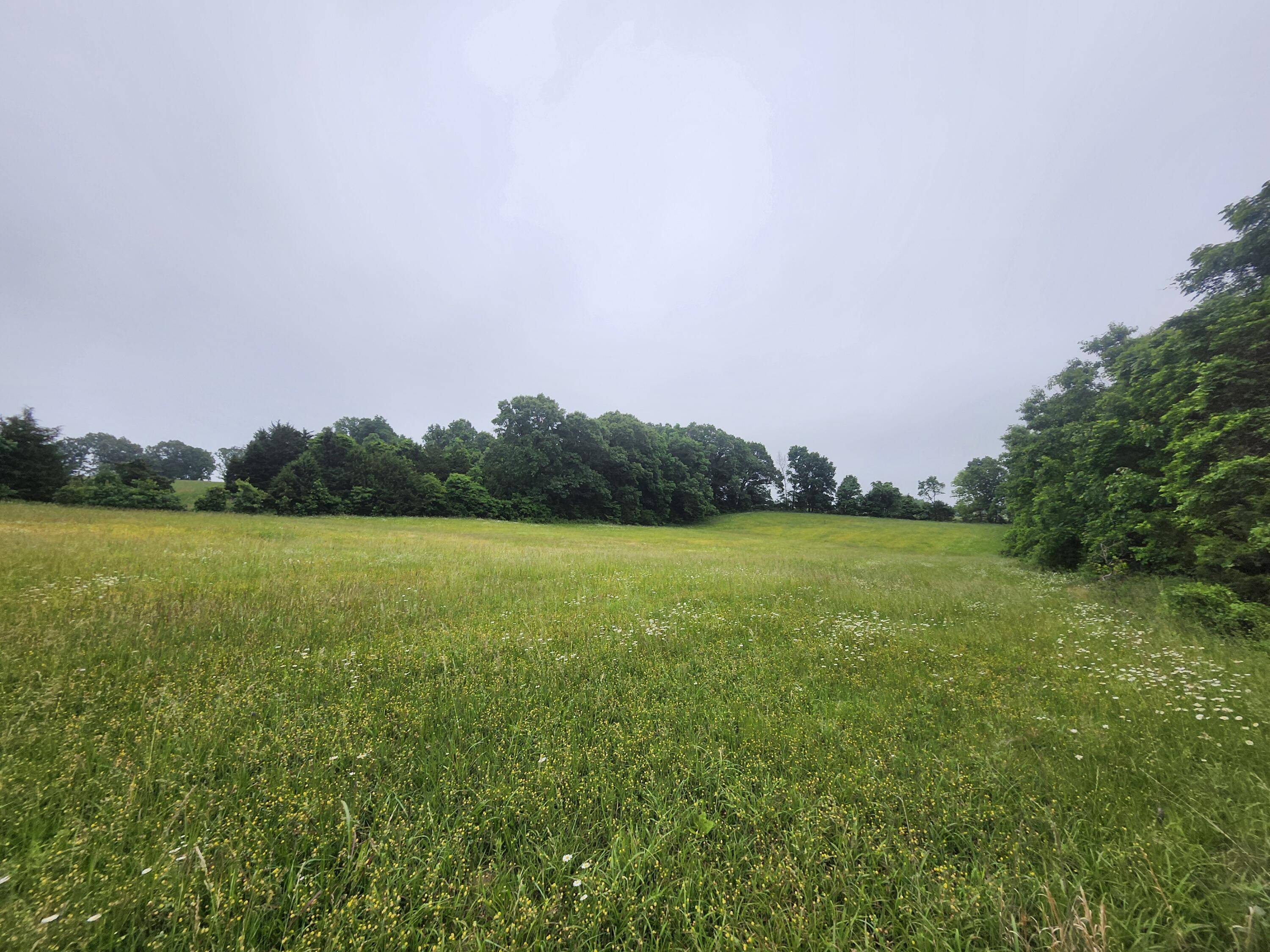 5853 Missouri 5, Hartville, MO 65667