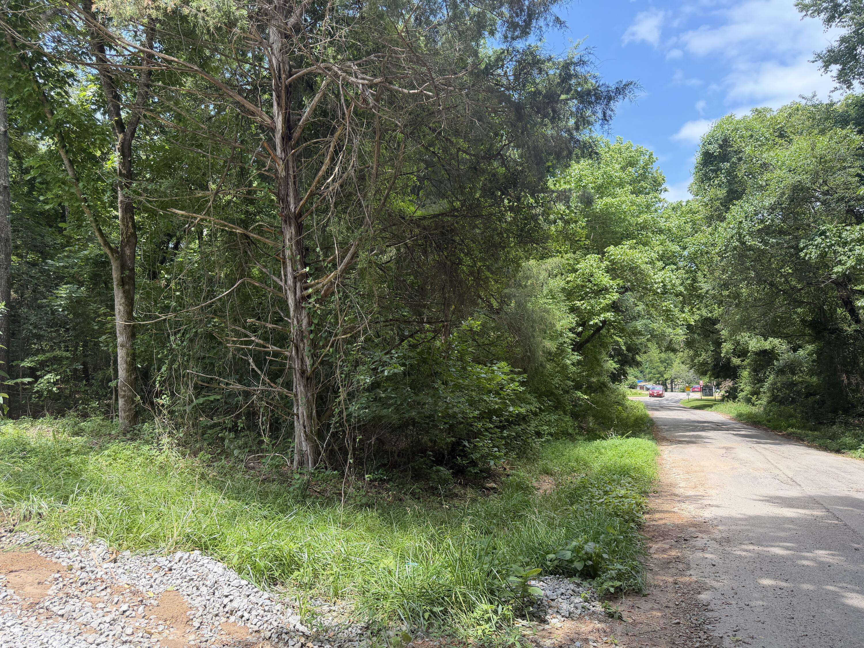 000 County Road 318 #Lot 4, Tecumseh, MO 65760