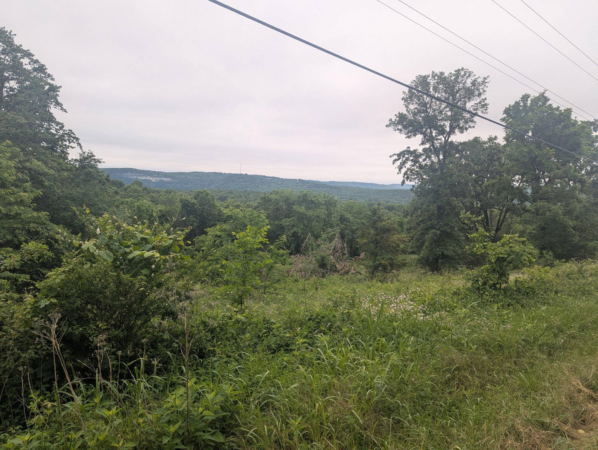 000 Semic LN, Cape Fair, MO 65624