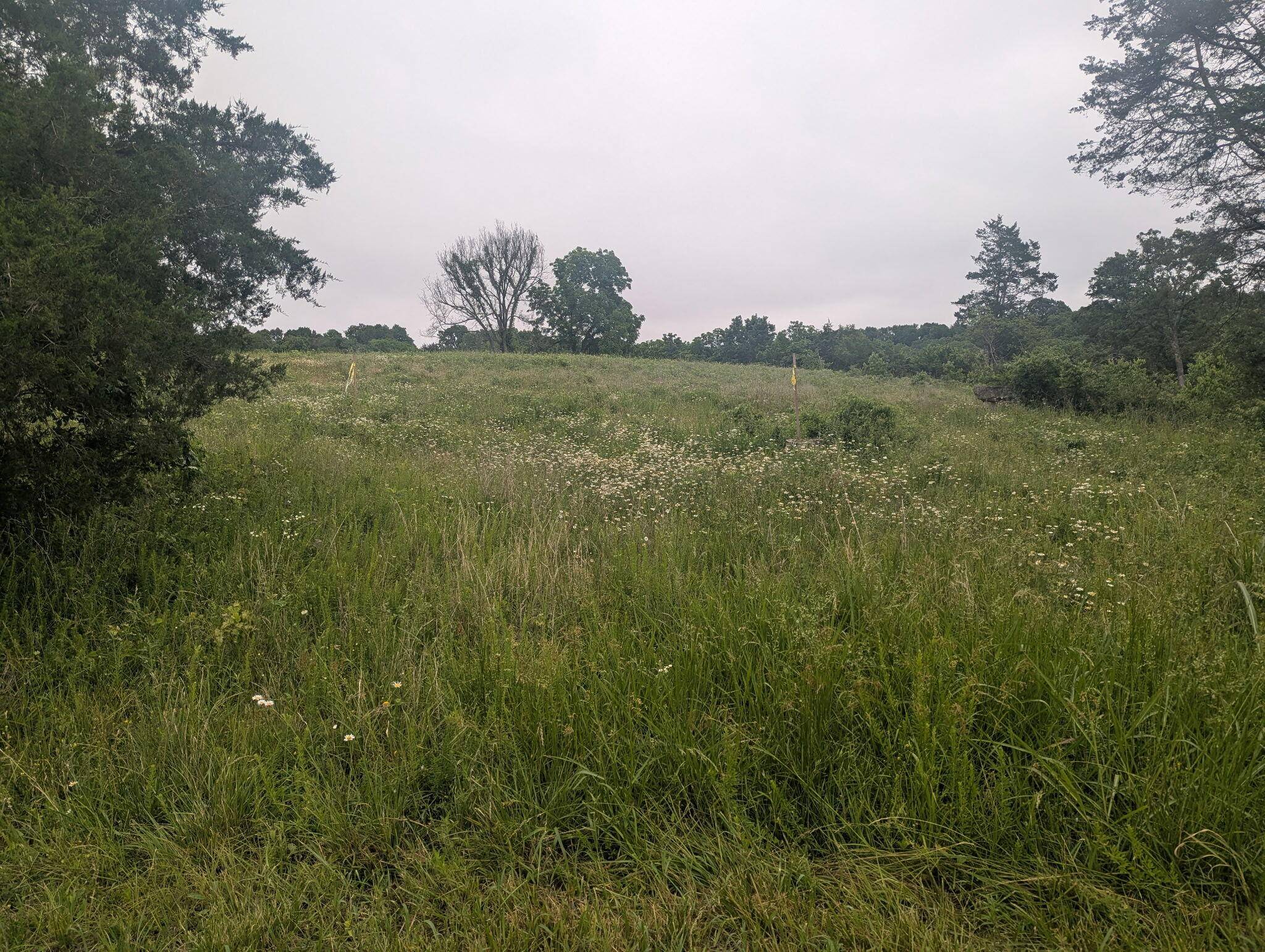 000 Semic LN, Cape Fair, MO 65624