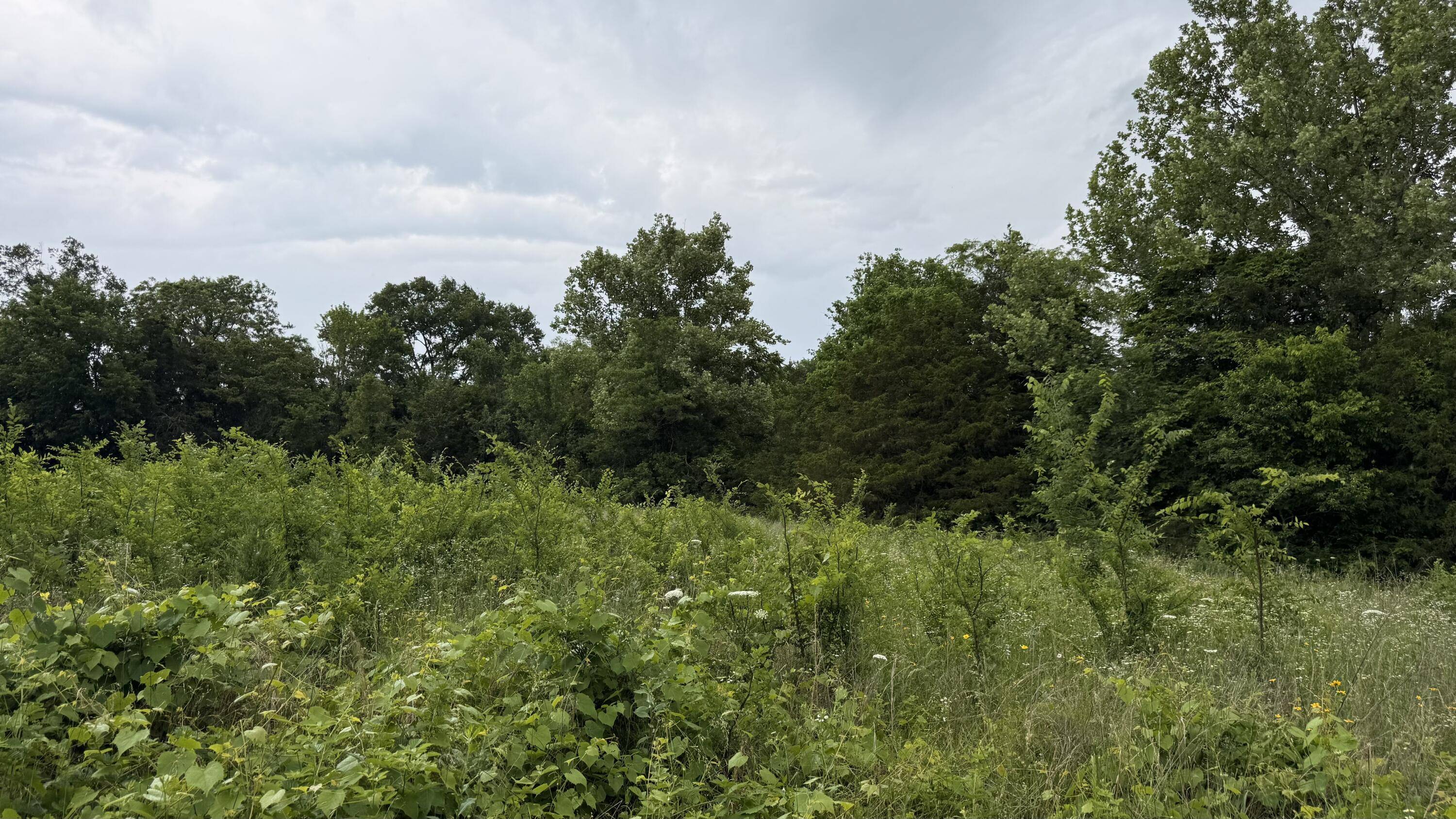 000 Roaring River Village, Eagle Rock, MO 65641