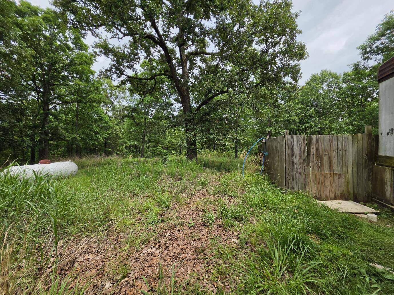 295 Black Oak RD, Mammoth Spring, AR 72554