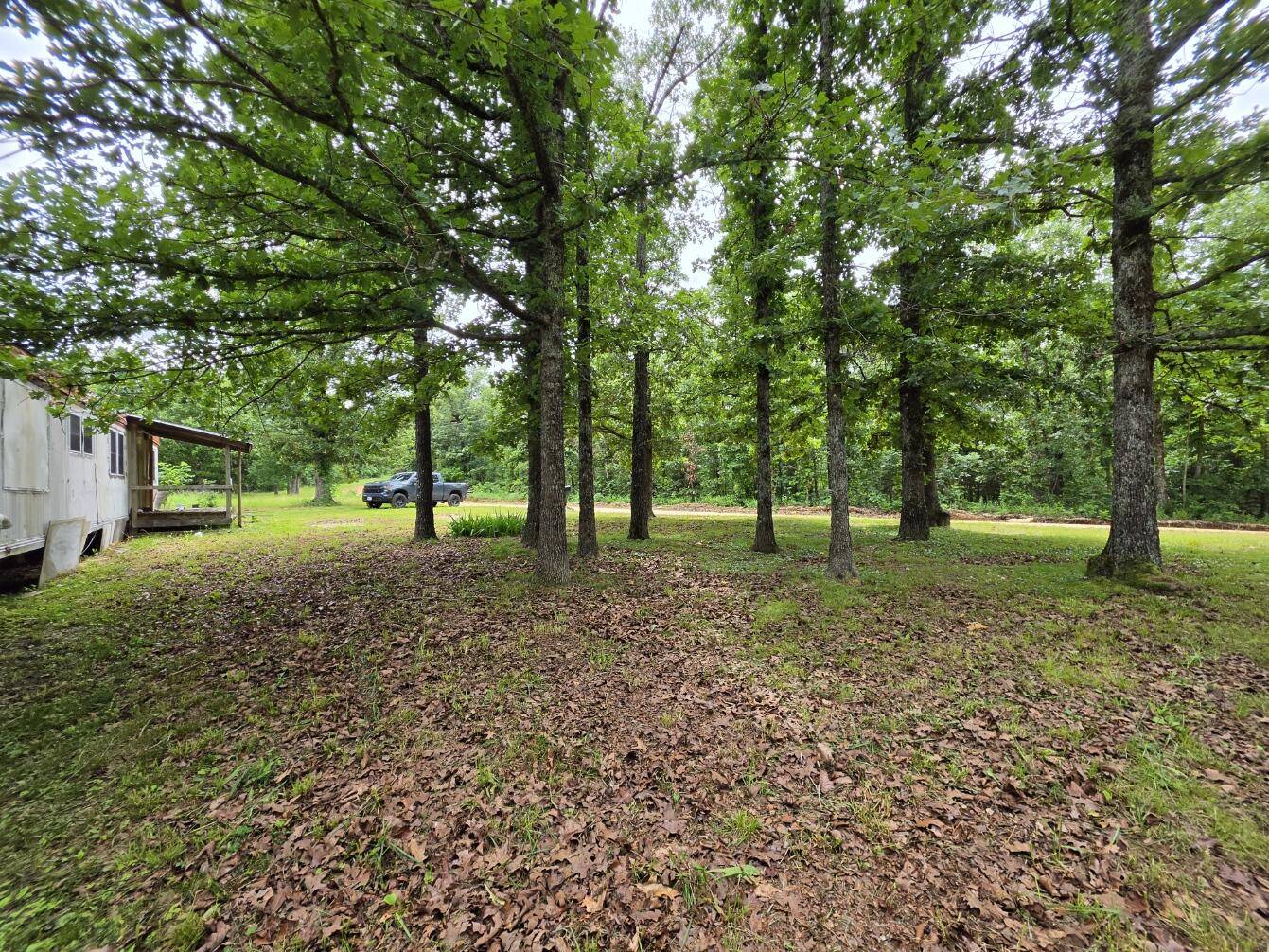 295 Black Oak RD, Mammoth Spring, AR 72554