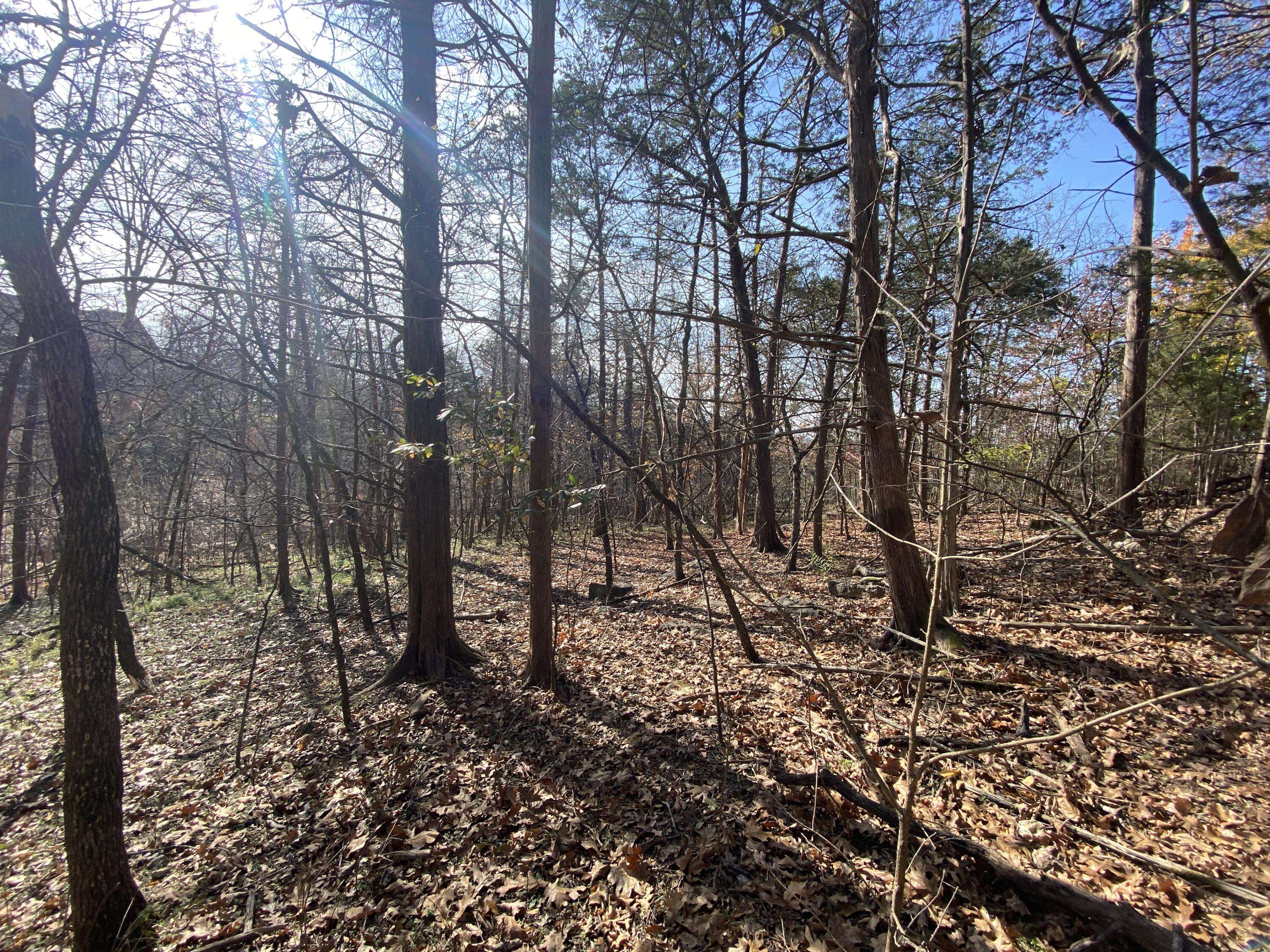 000 Seagull Lane, Cape Fair, MO 65624