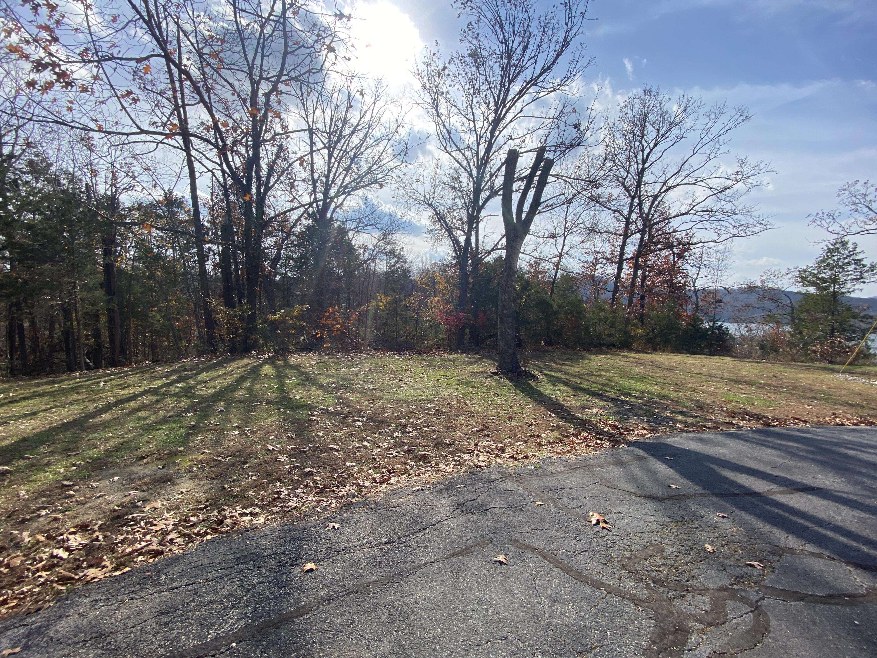 000 Seagull Lane, Cape Fair, MO 65624