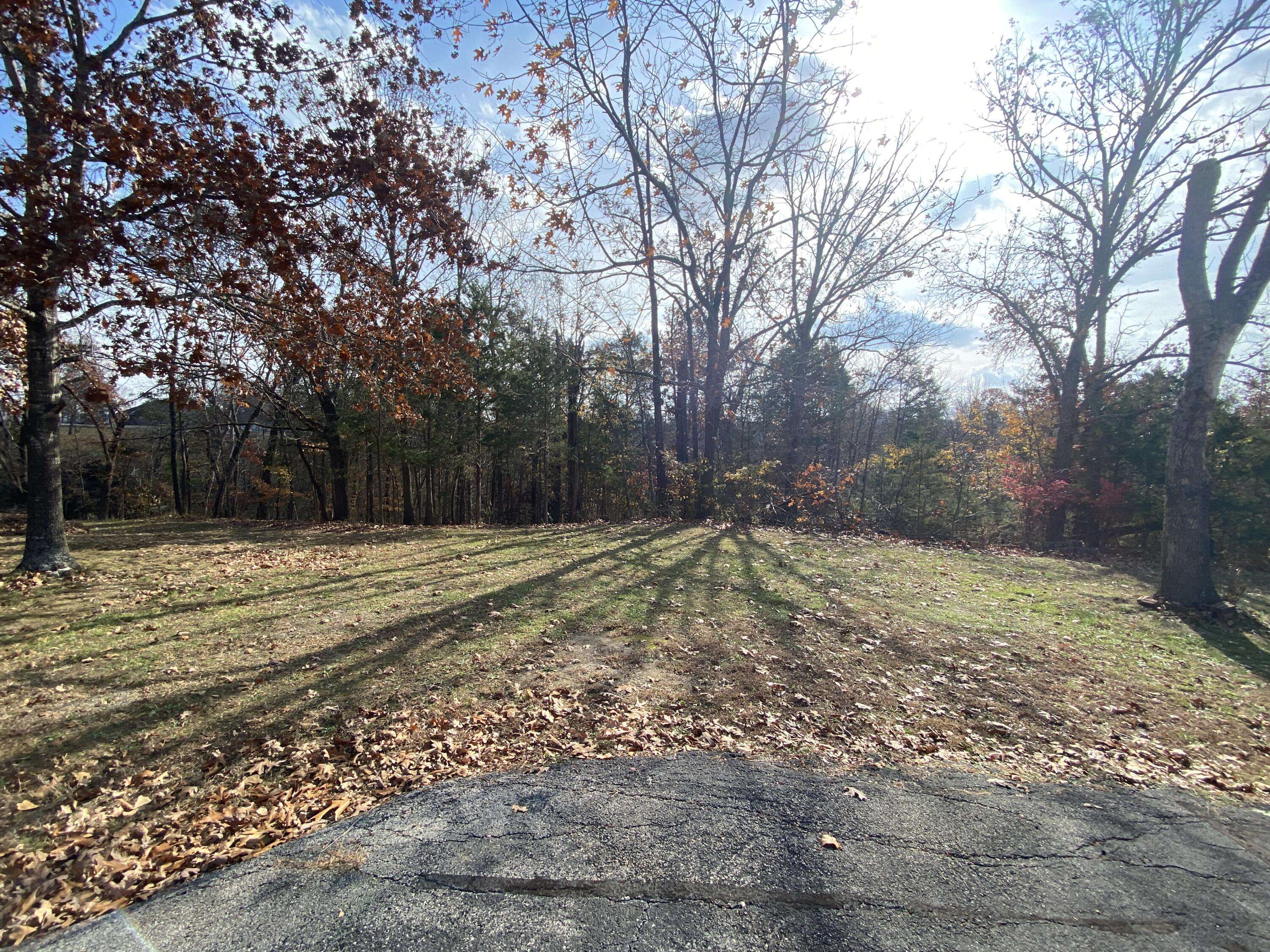 000 Seagull Lane, Cape Fair, MO 65624