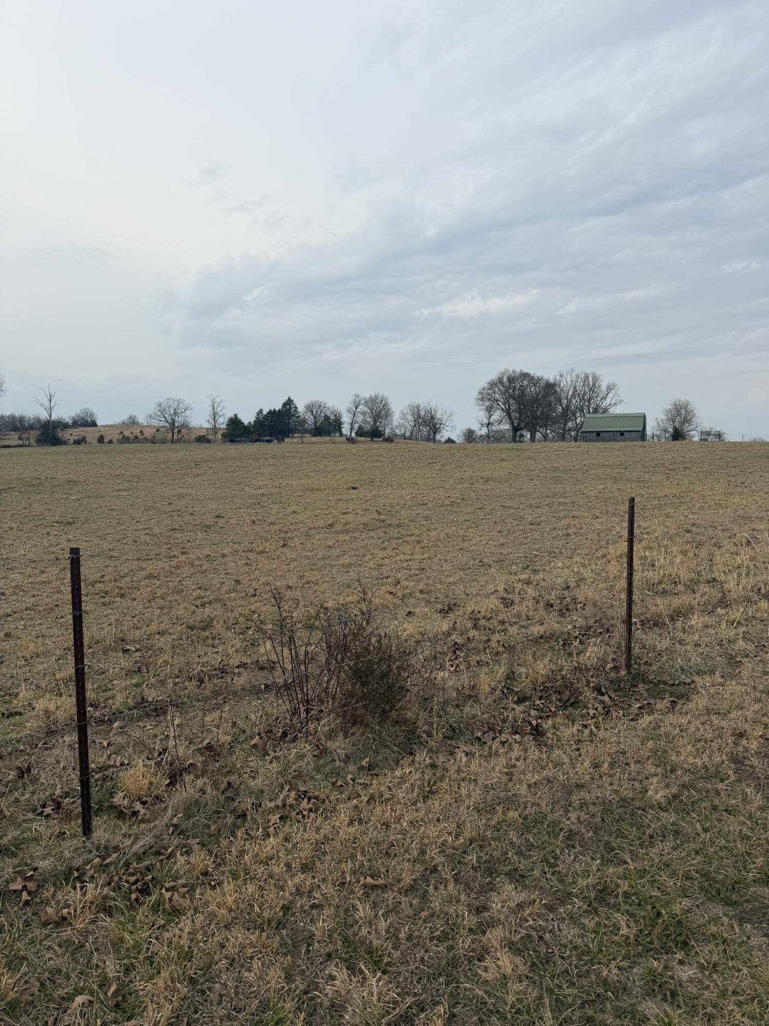 141 County Road 329, Dora, MO 65637