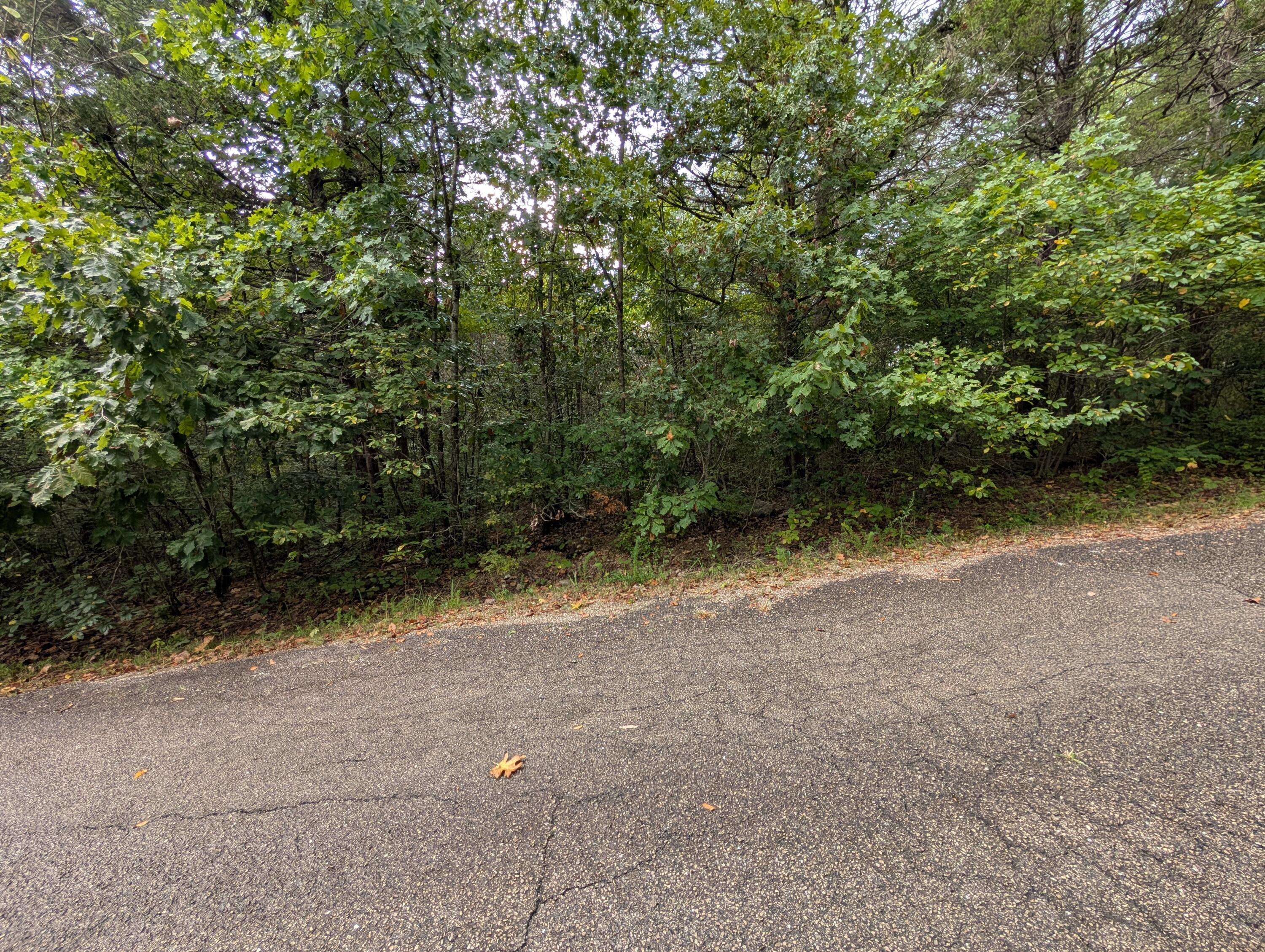 000 N Lot 296 Millstone ST, Shell Knob, MO 65747